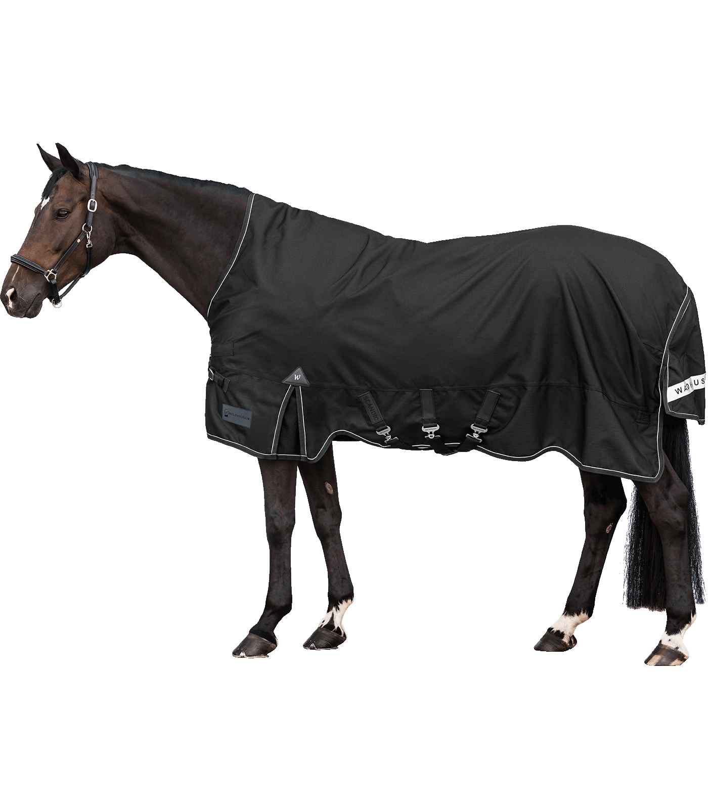 Výběhová deka Waldhausen Scandic High Neck 100 g