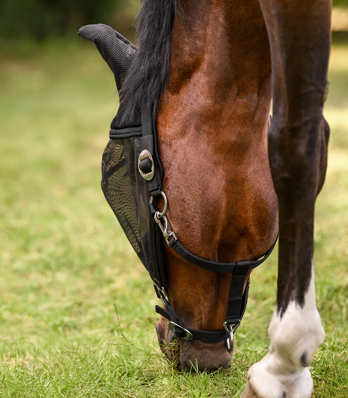 PREMIUM Fly mask with Halter