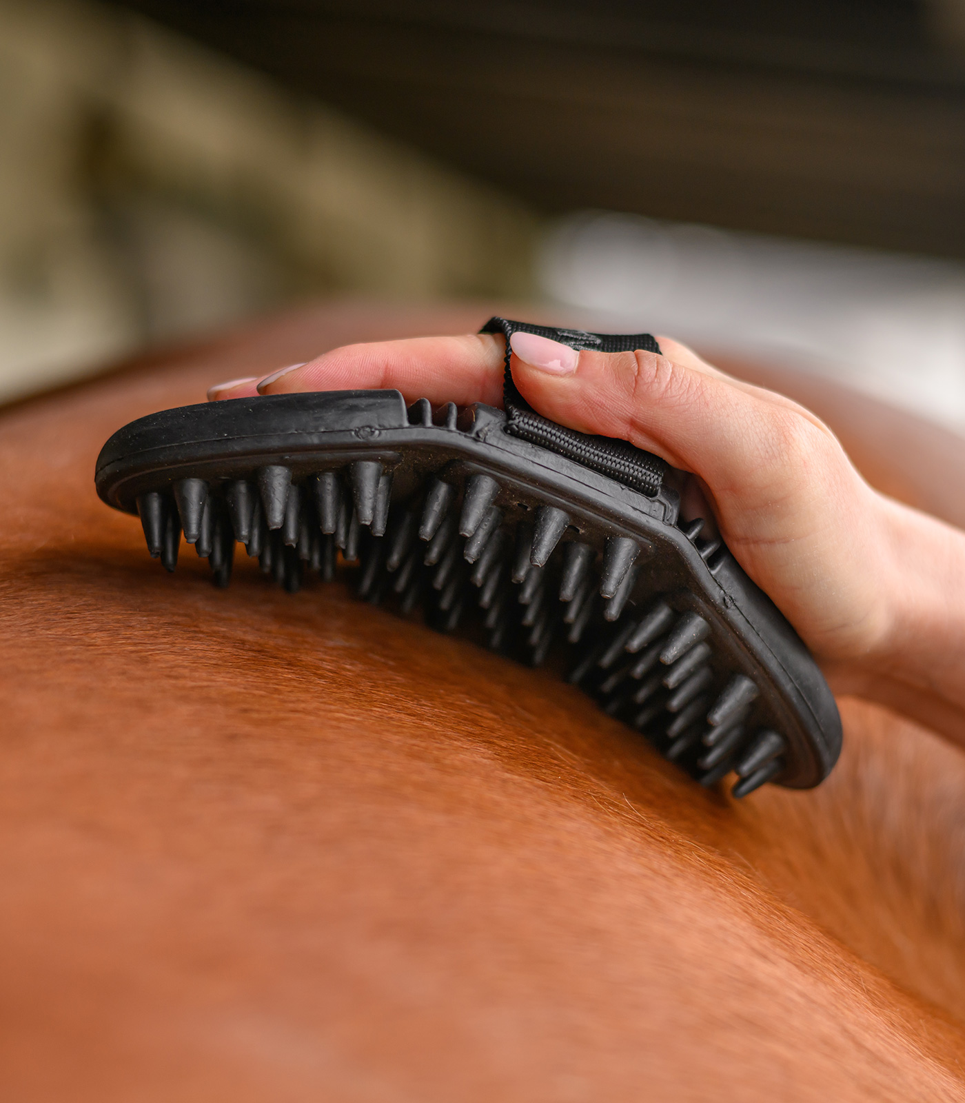 Flex massage curry comb