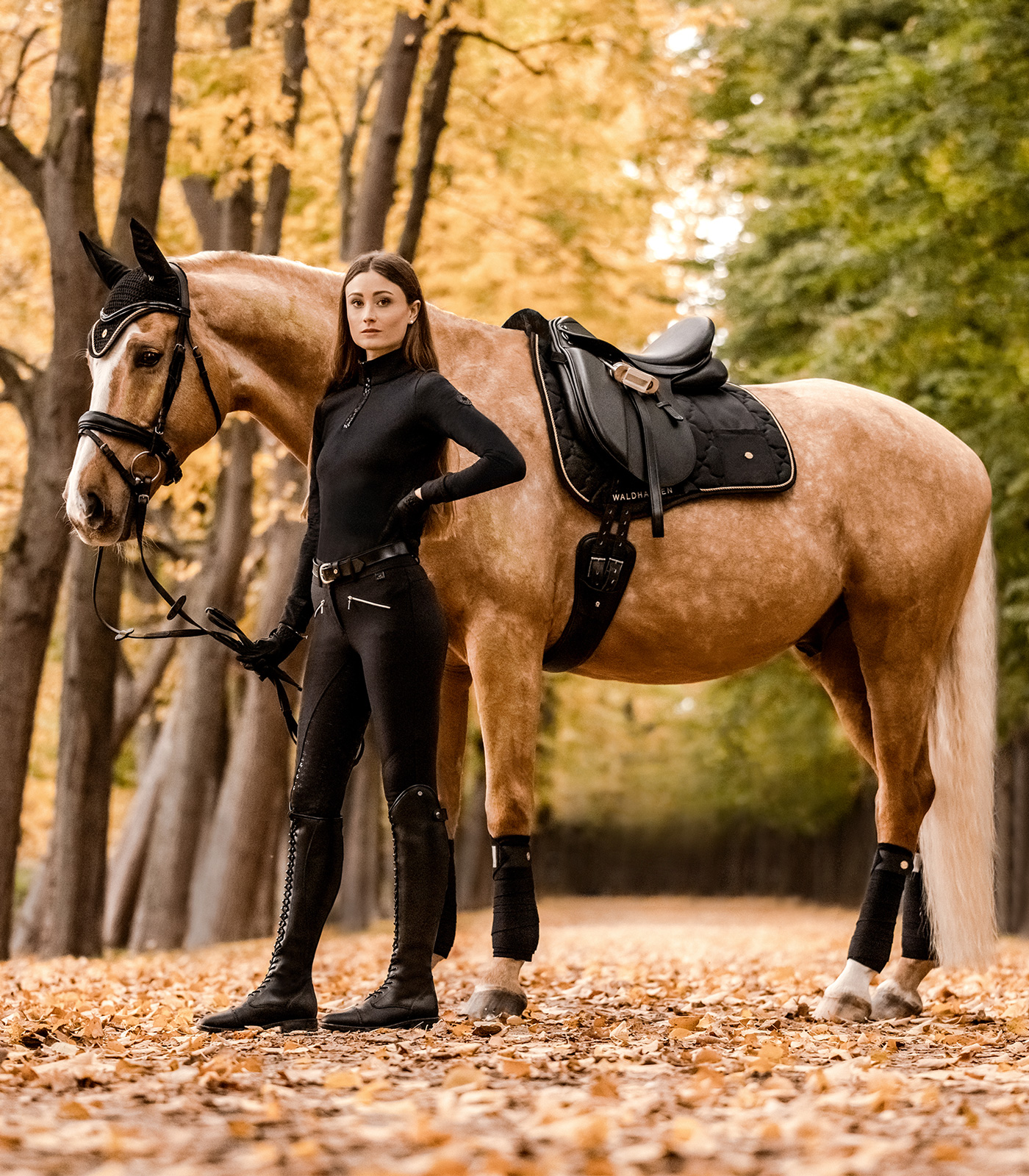 Modern Rosé Saddle Pad