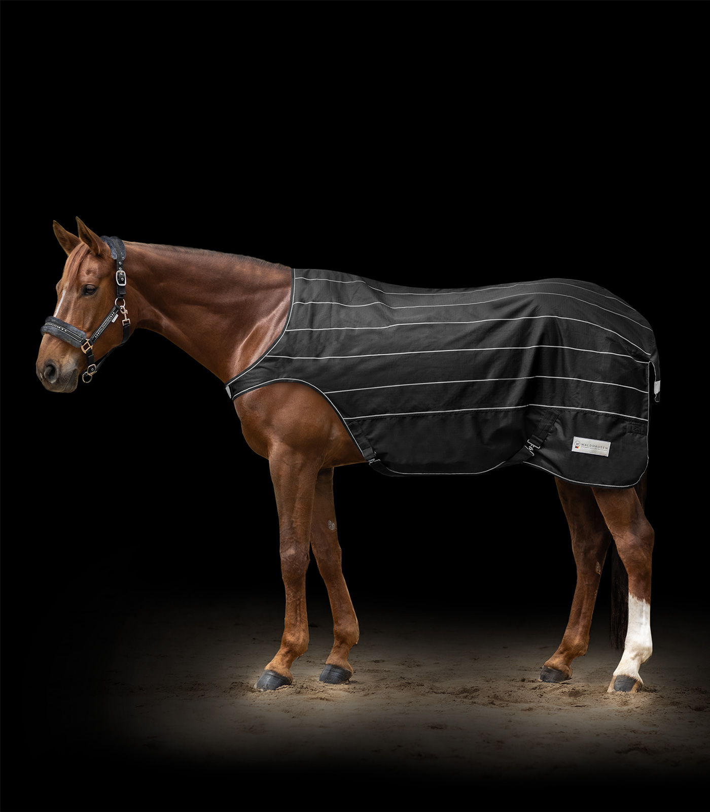 REFLEX Horse Walker Rug black/silver