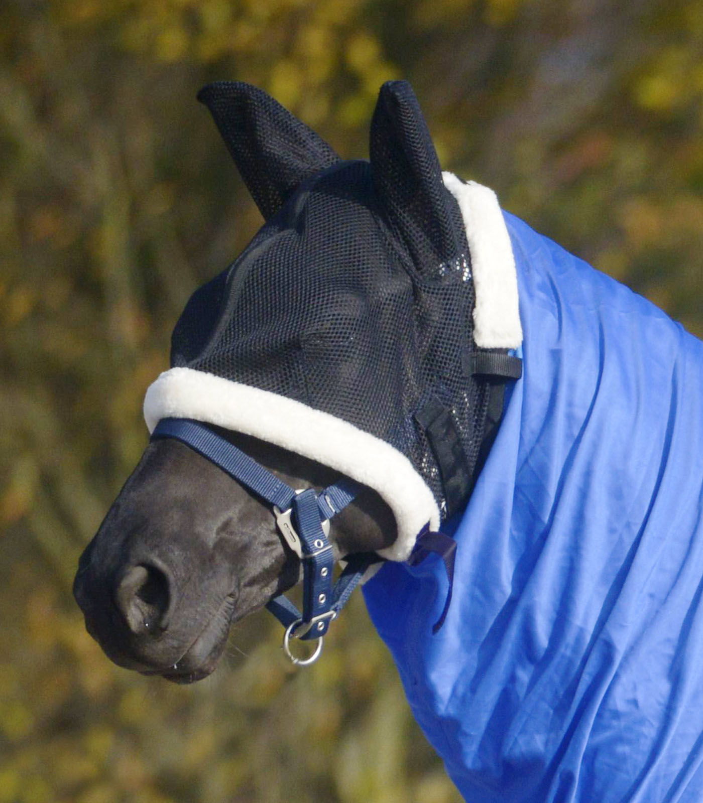 PREMIUM Fly mask for eczema rug