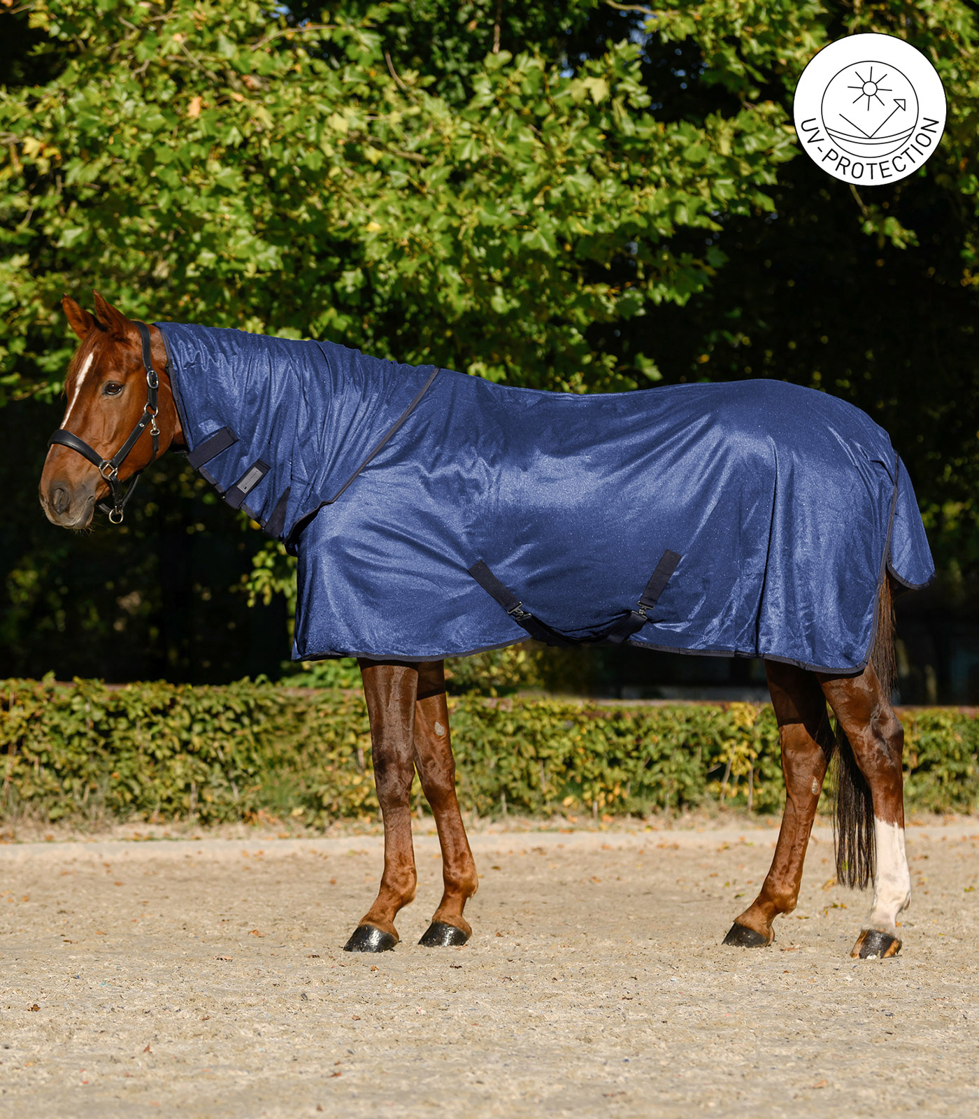 Fly rug FlyControl with neck part blue
