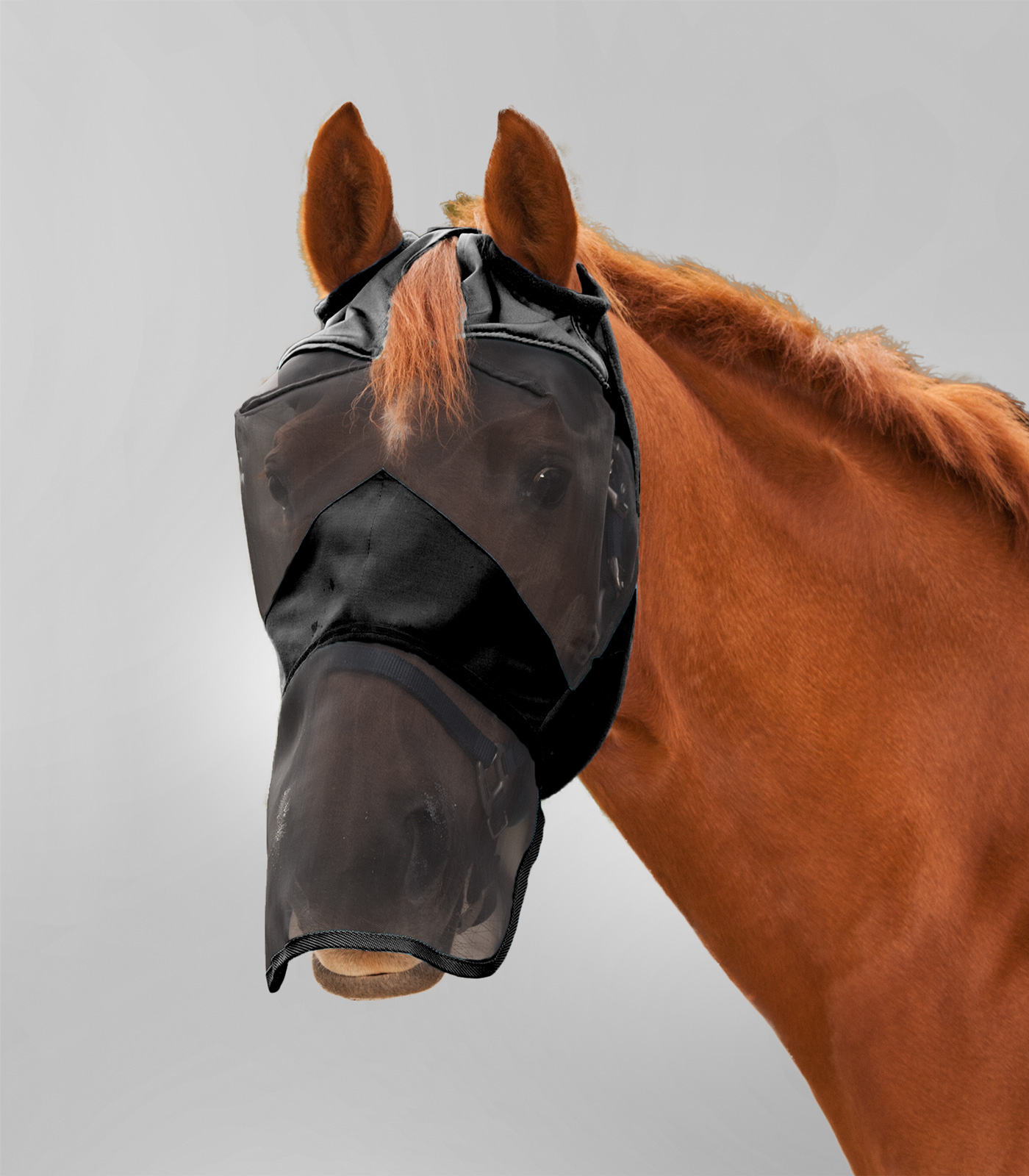 PREMIUM Fly Mask without ear and with nose protection