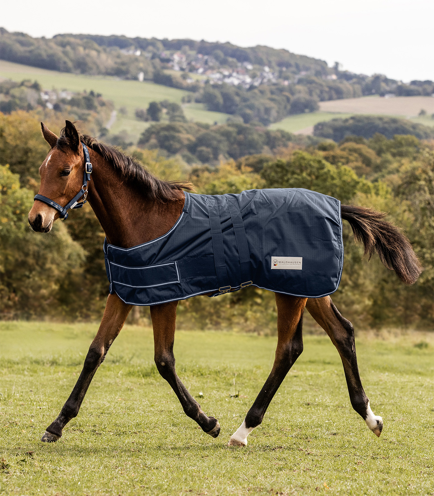 COMFORT Turnout Rug for Foals