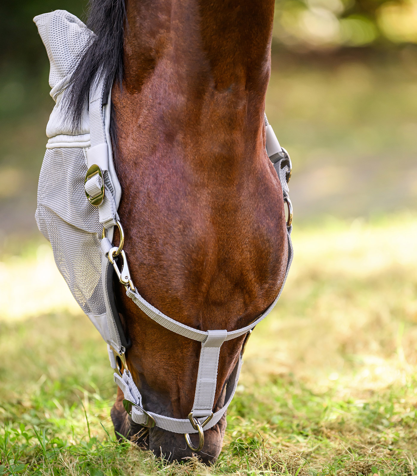 PREMIUM Fly mask with Halter