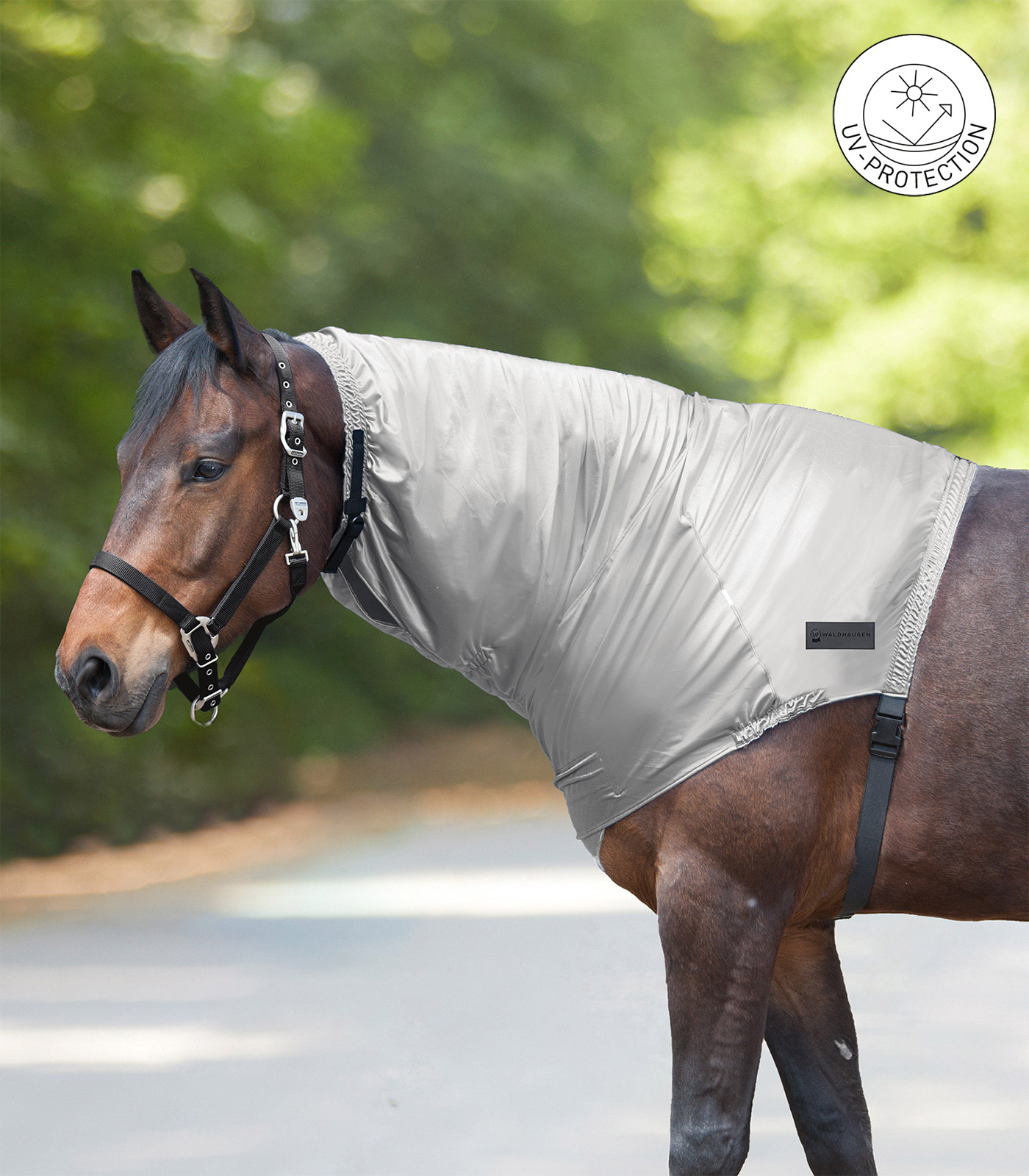 Cuello antieczematoso gris plata