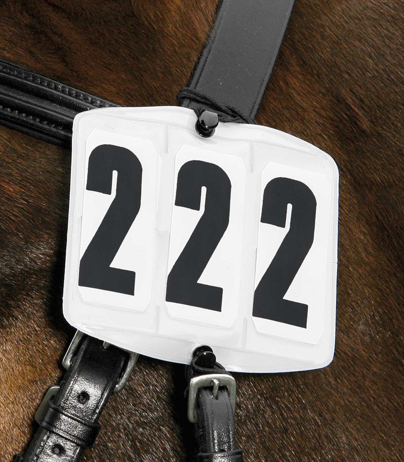 Bridle numbers, rectangular