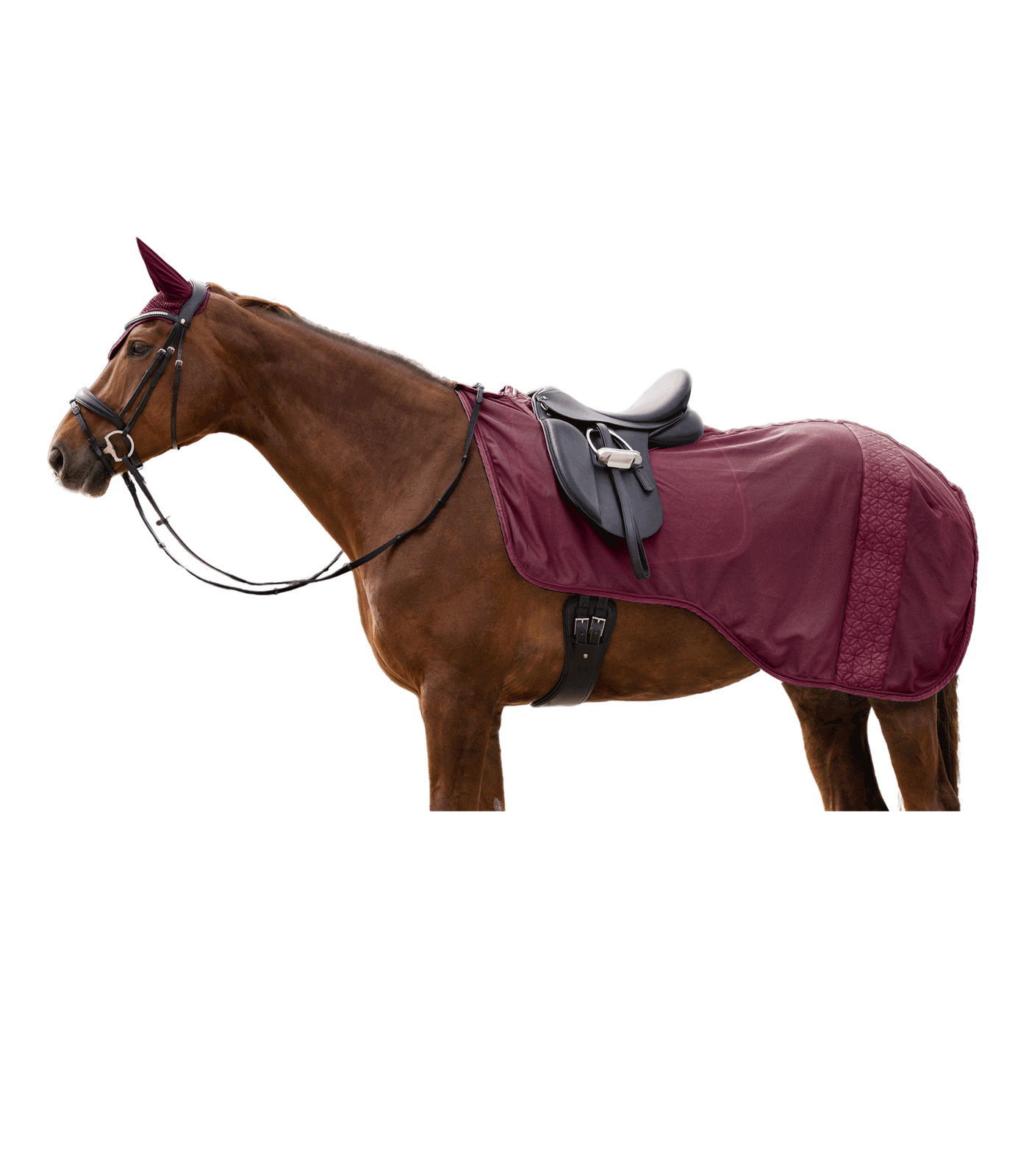 Couverture d"équitation anti-mouches Rom rouge velouté