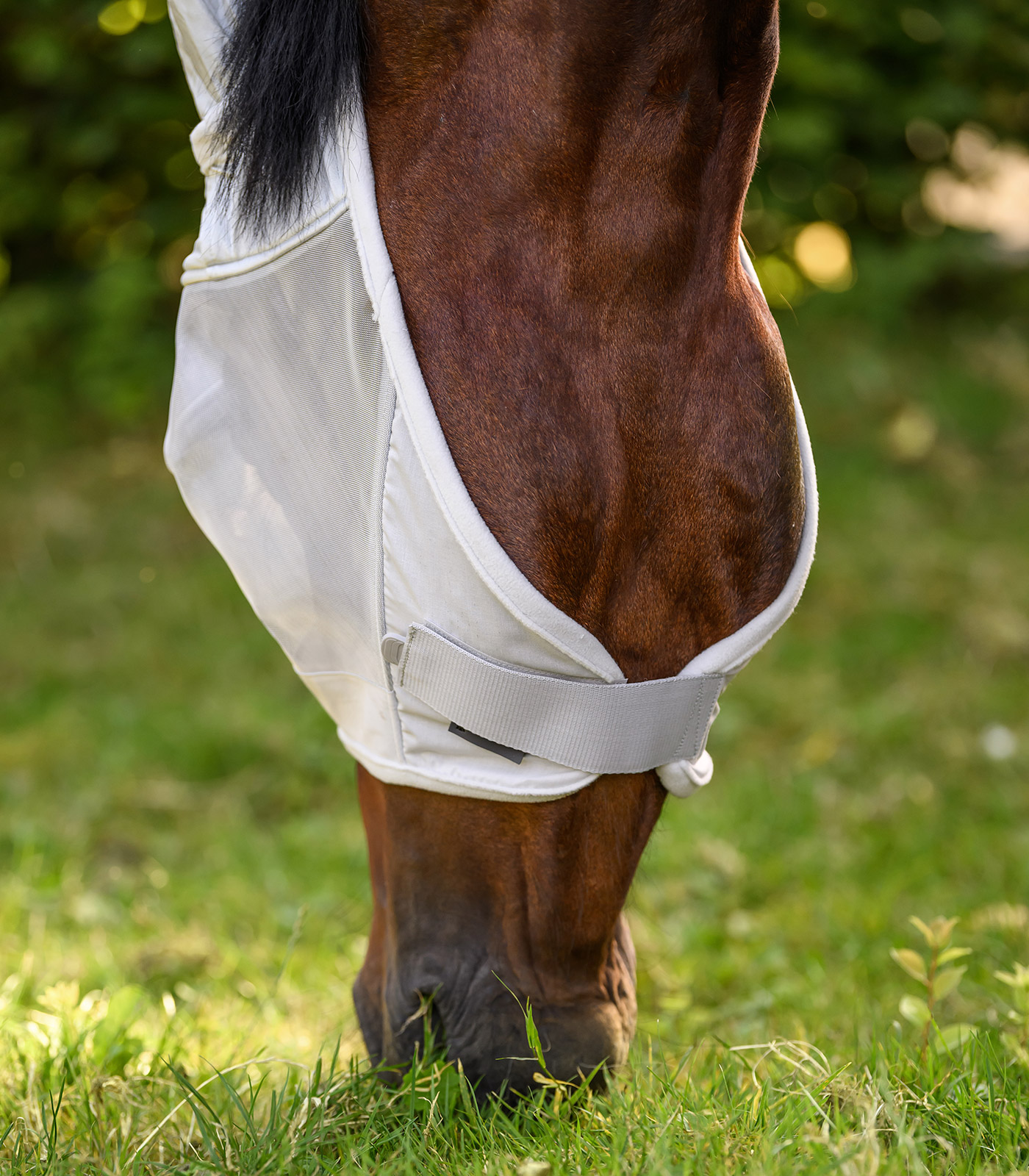 PREMIUM Fly mask with ear protection PREMIUM Fly mask with ear protection