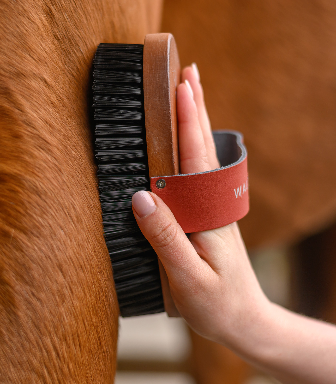 Kardätsche HardWood, Synthetikborsten