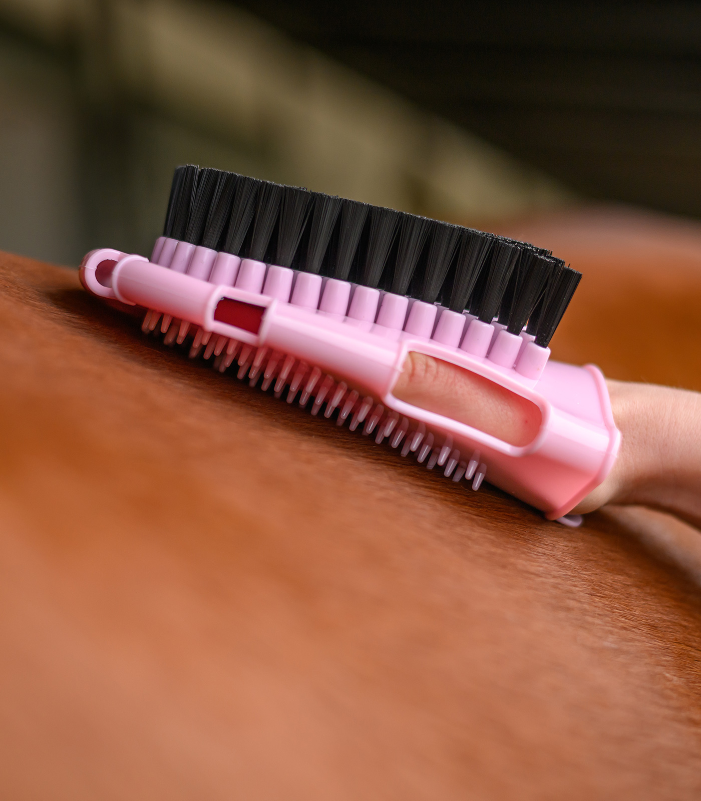Grooming- and Washing Glove