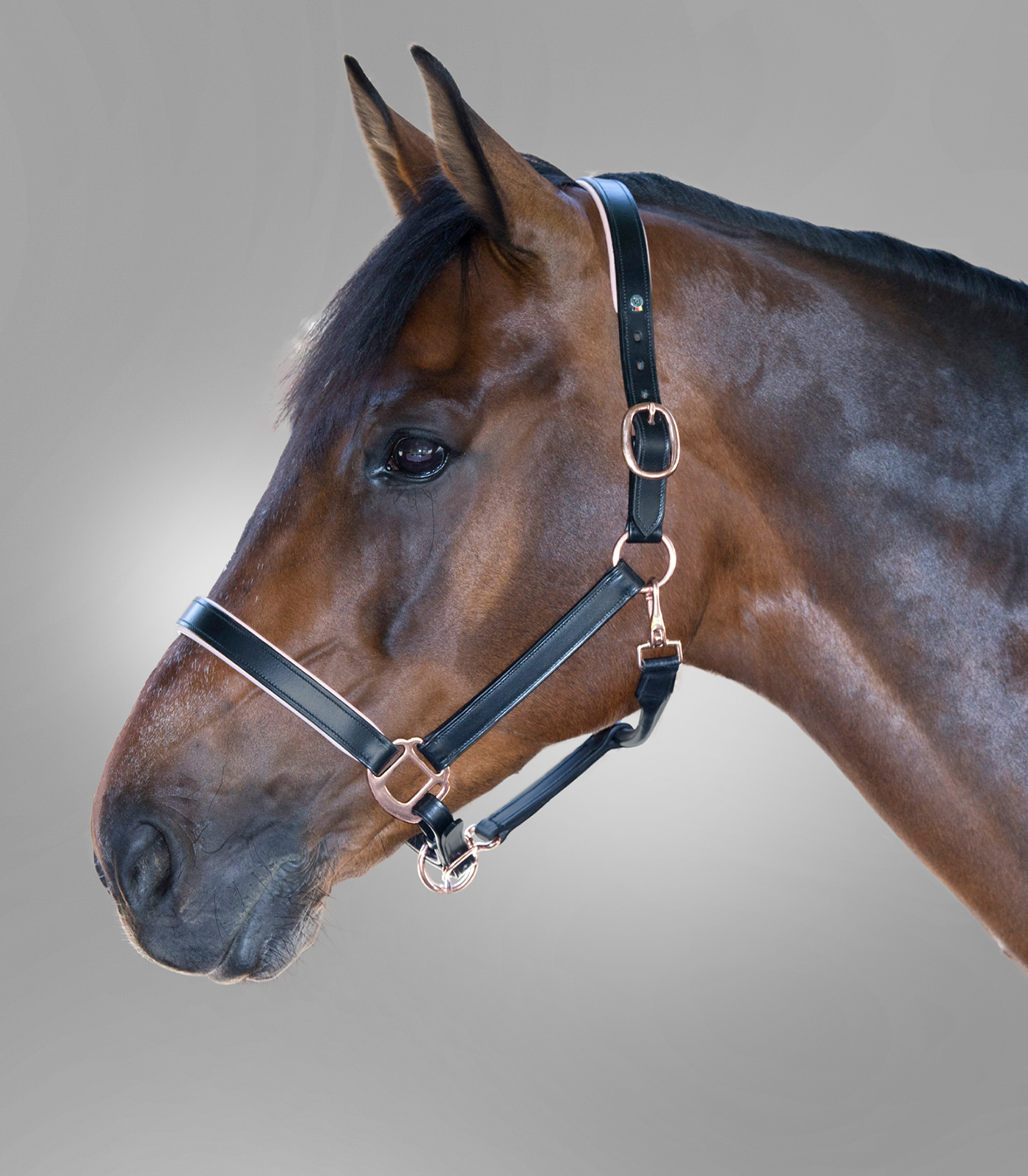 Waldhausen X-Line Leather Halter Rosé