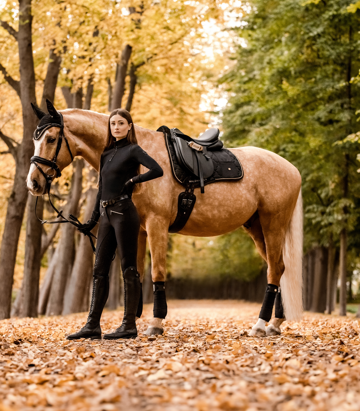 Pantalon d’équitation taille haute en silicone Hella