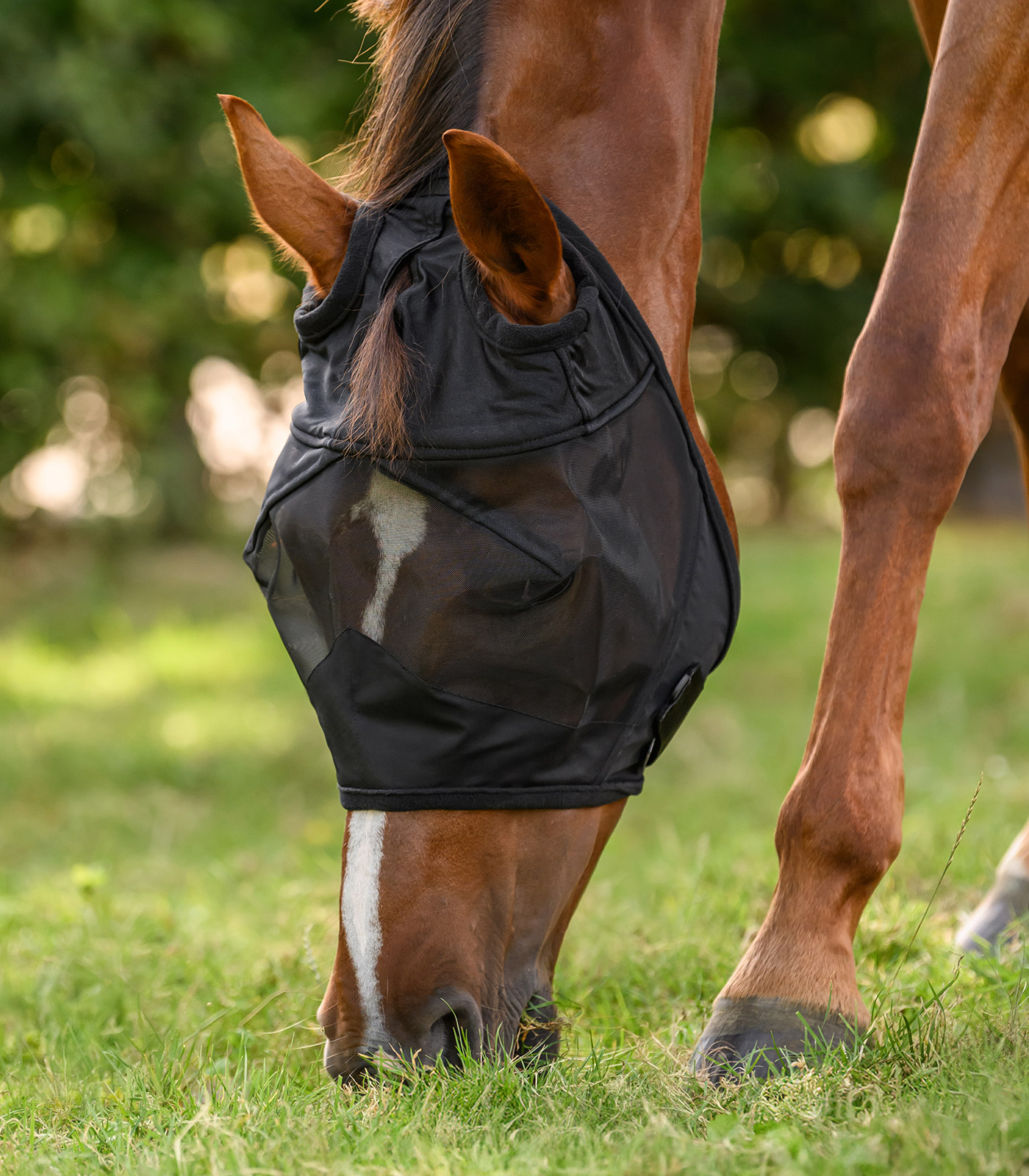 PREMIUM Mosquero sin protección para orejas PREMIUM Mosquero sin protección para orejas