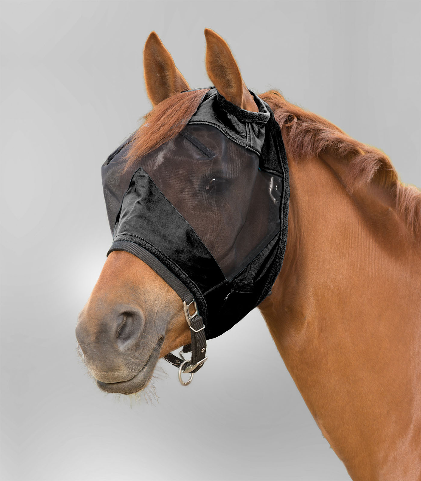 PREMIUM Fly Mask without ear protection black