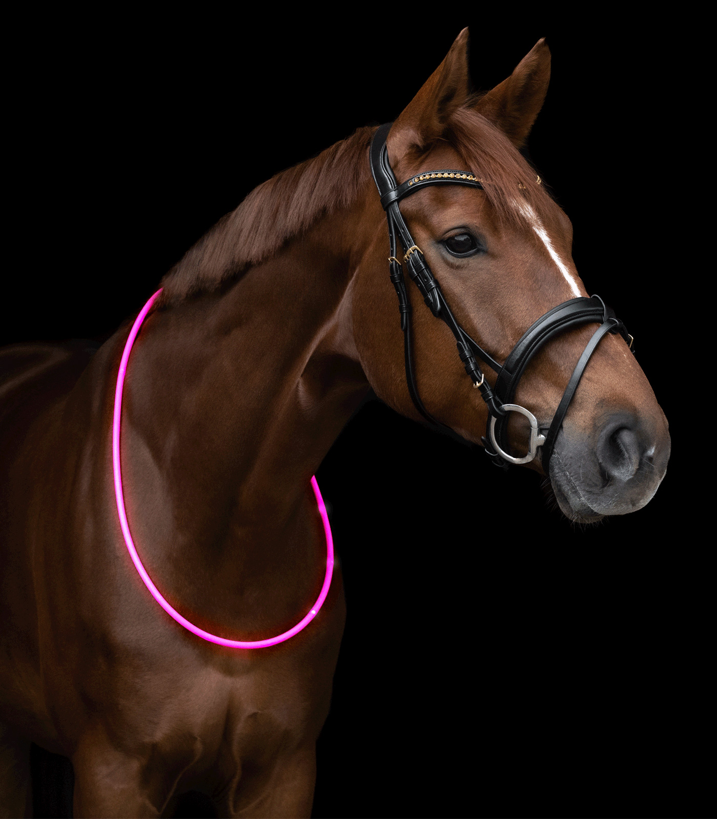 LED Neck Strap