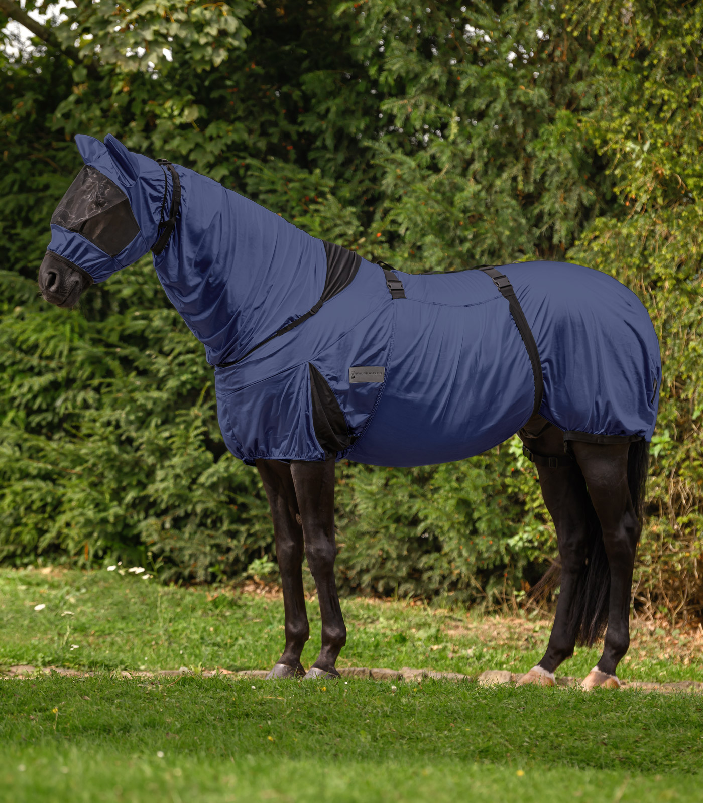 Ekzemerdecke Premium nachtblau