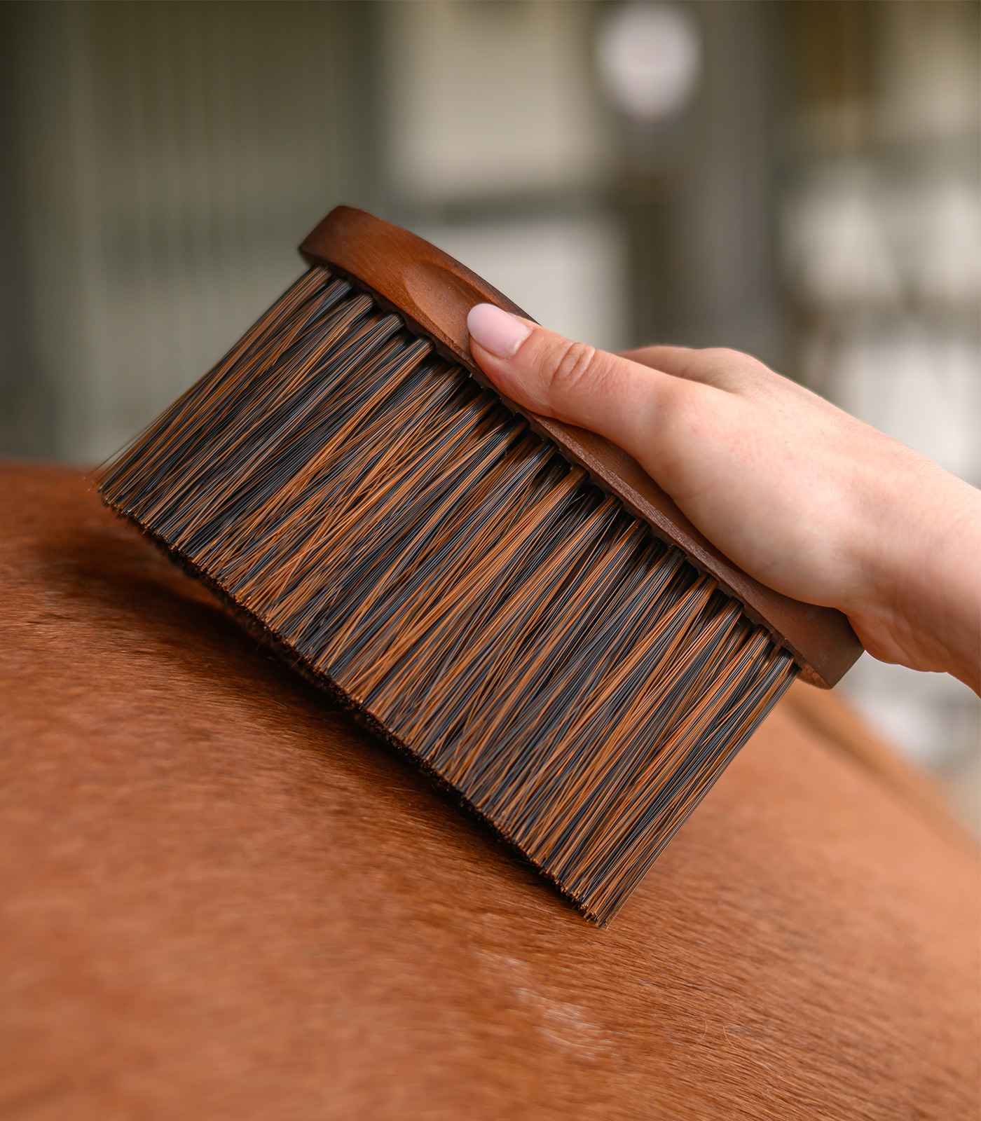 Brosse poussière HardWood