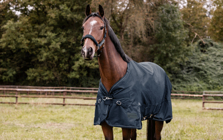 Care and cleaning: washing horse rugs yourself Care and cleaning: washing horse rugs yourself