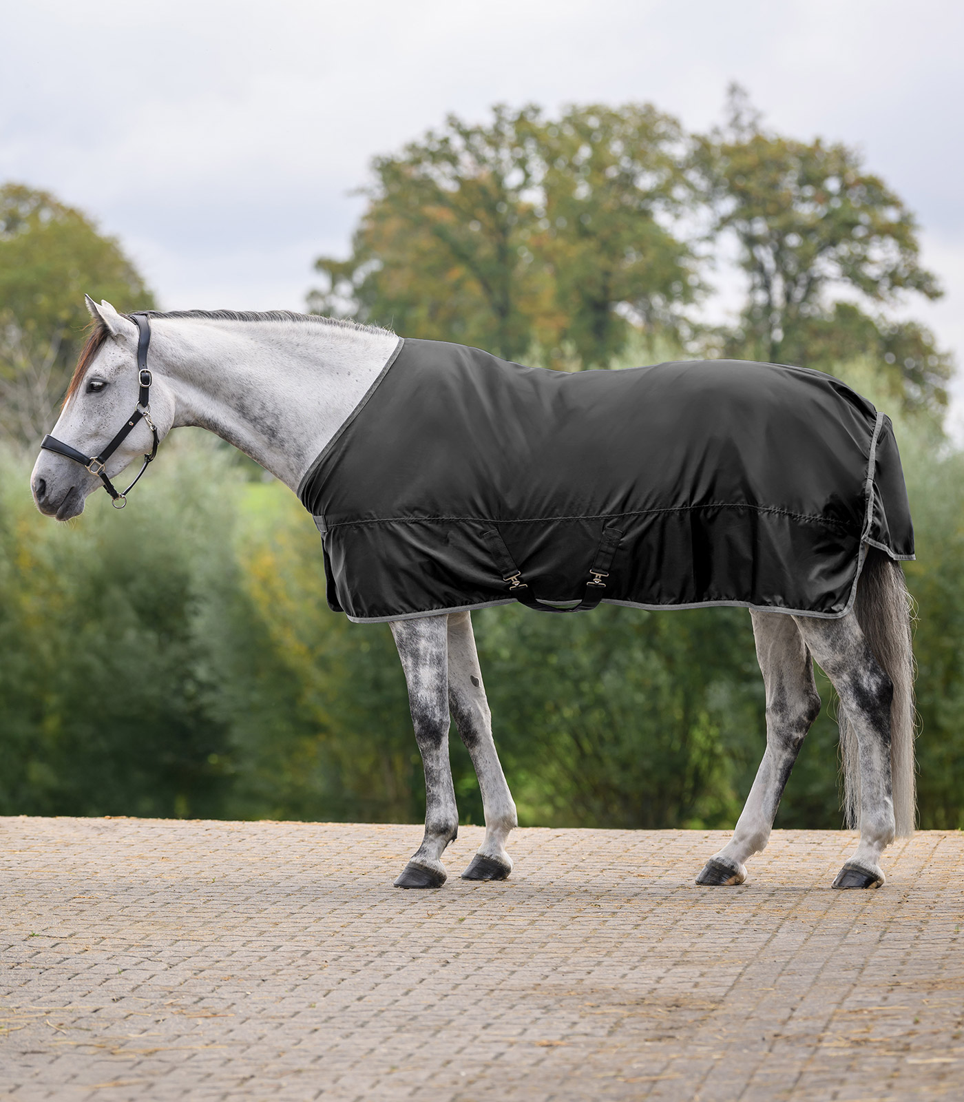 ECONOMIC Regendecke schwarz