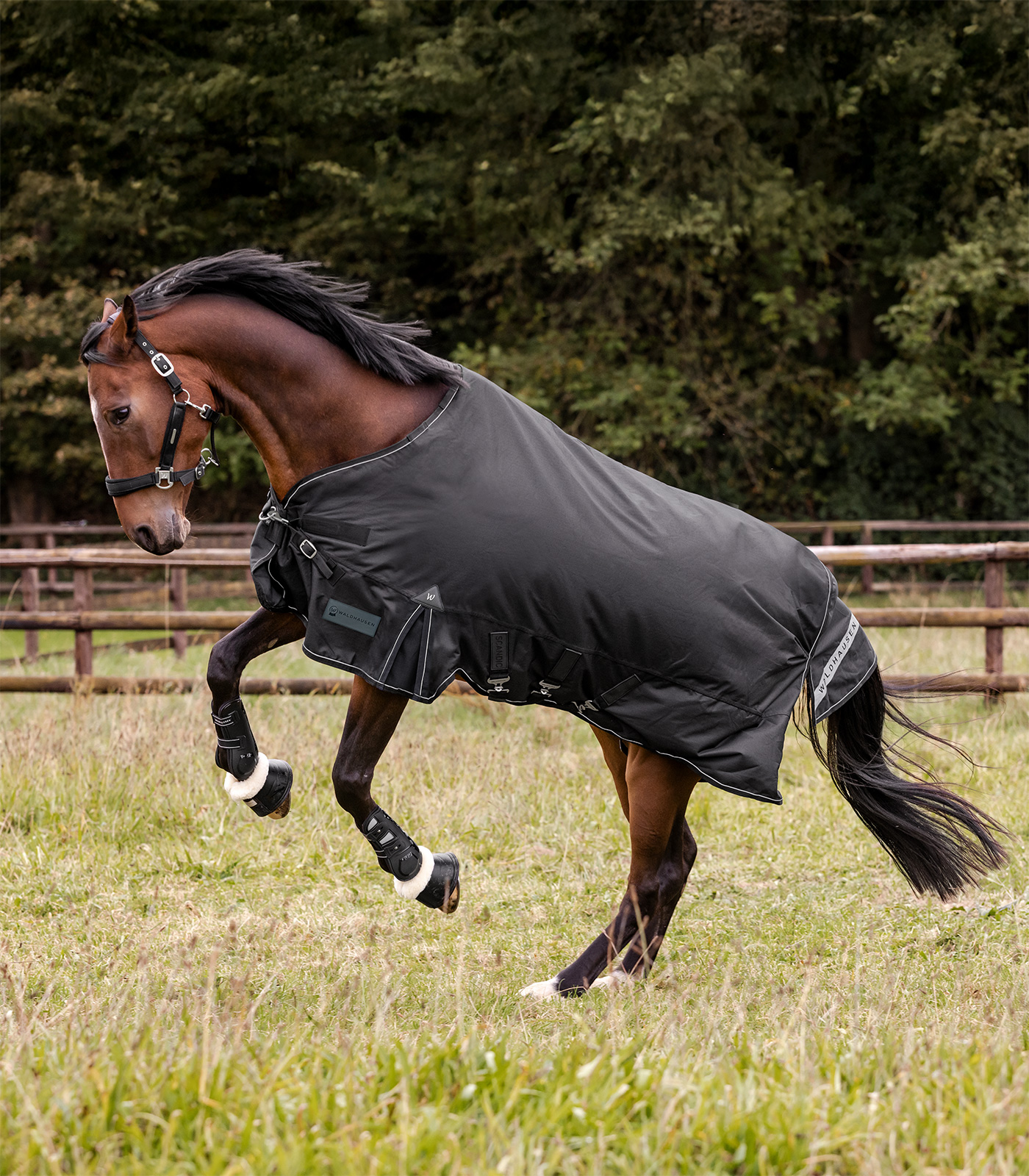 SCANDIC multi-layer turnout rug, 250 g / 100 g