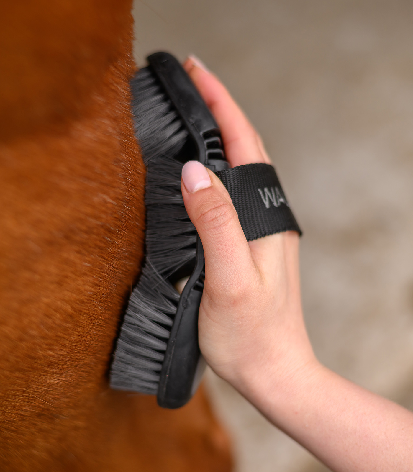 Flex horse grooming brush, soft synthetic bristles