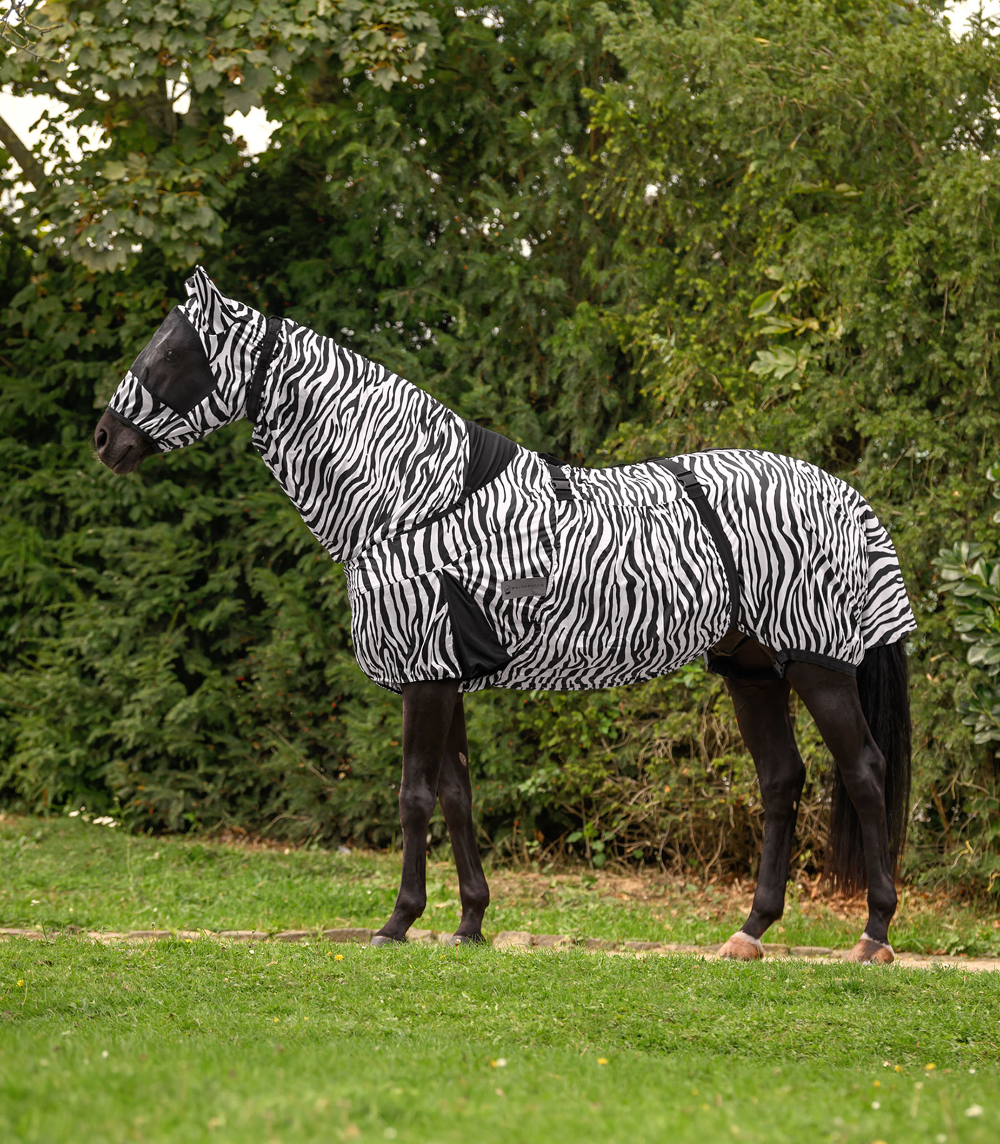 Zebra Premium eczema rug black/white