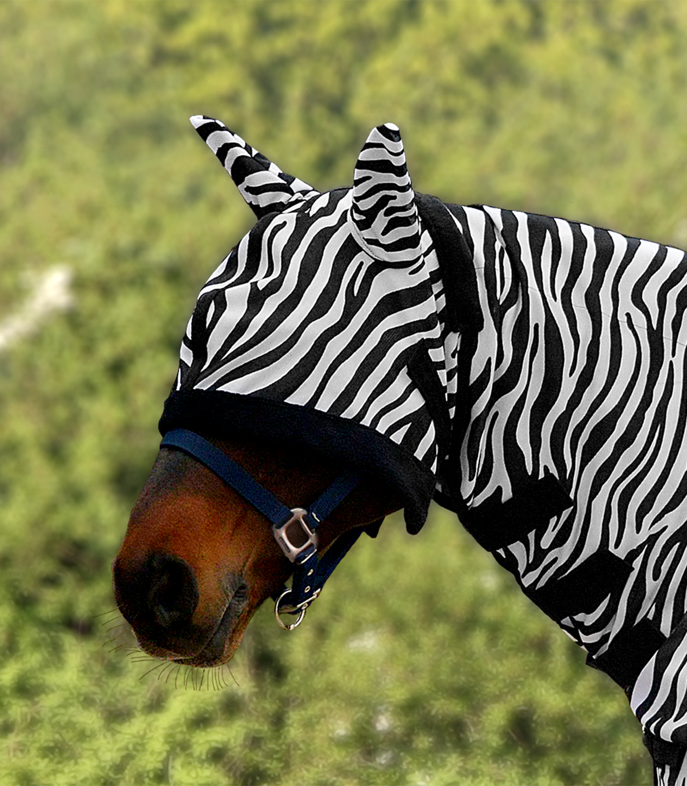 Fliegenmaske Zebra schwarz/weiß