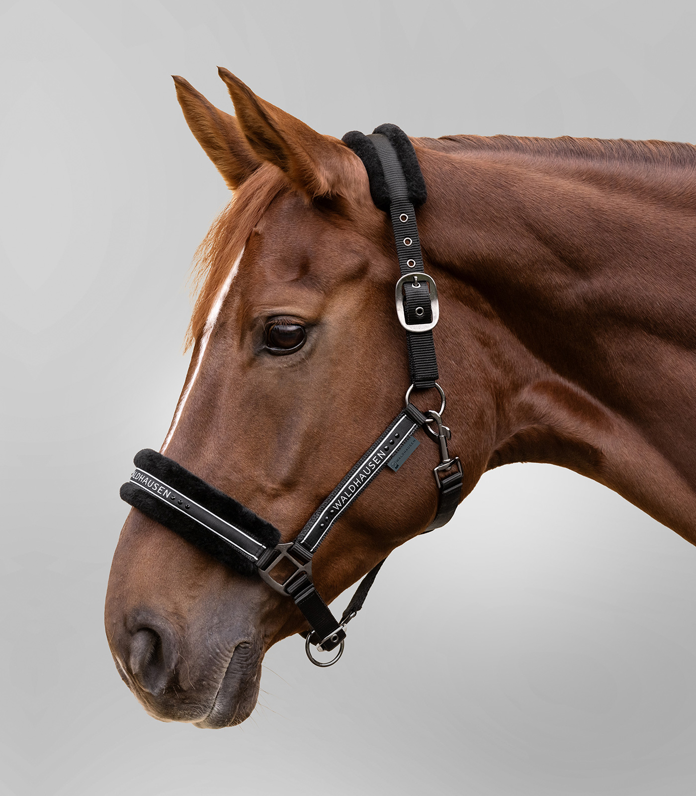 Halfter Elegant