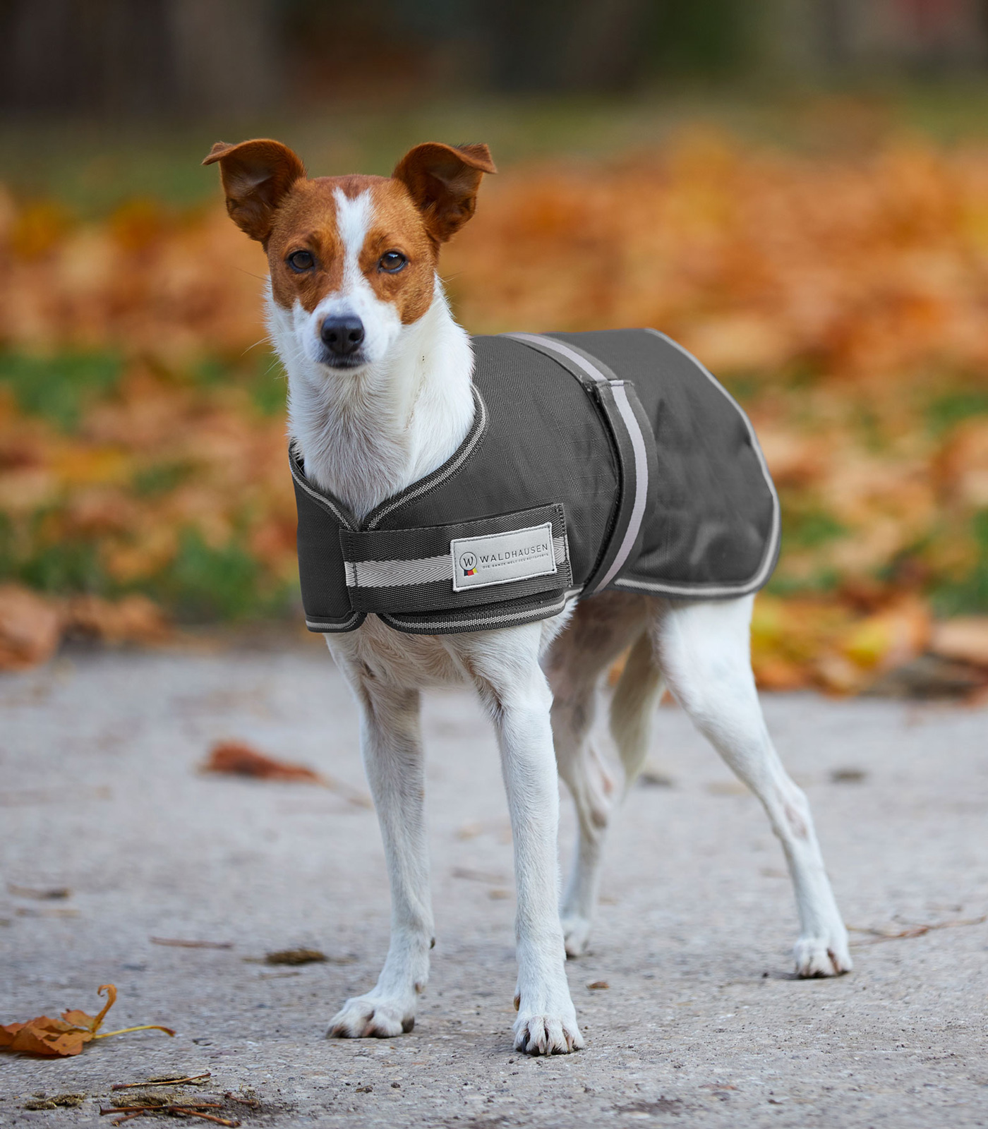 COMFORT Dog Coat, 200 g