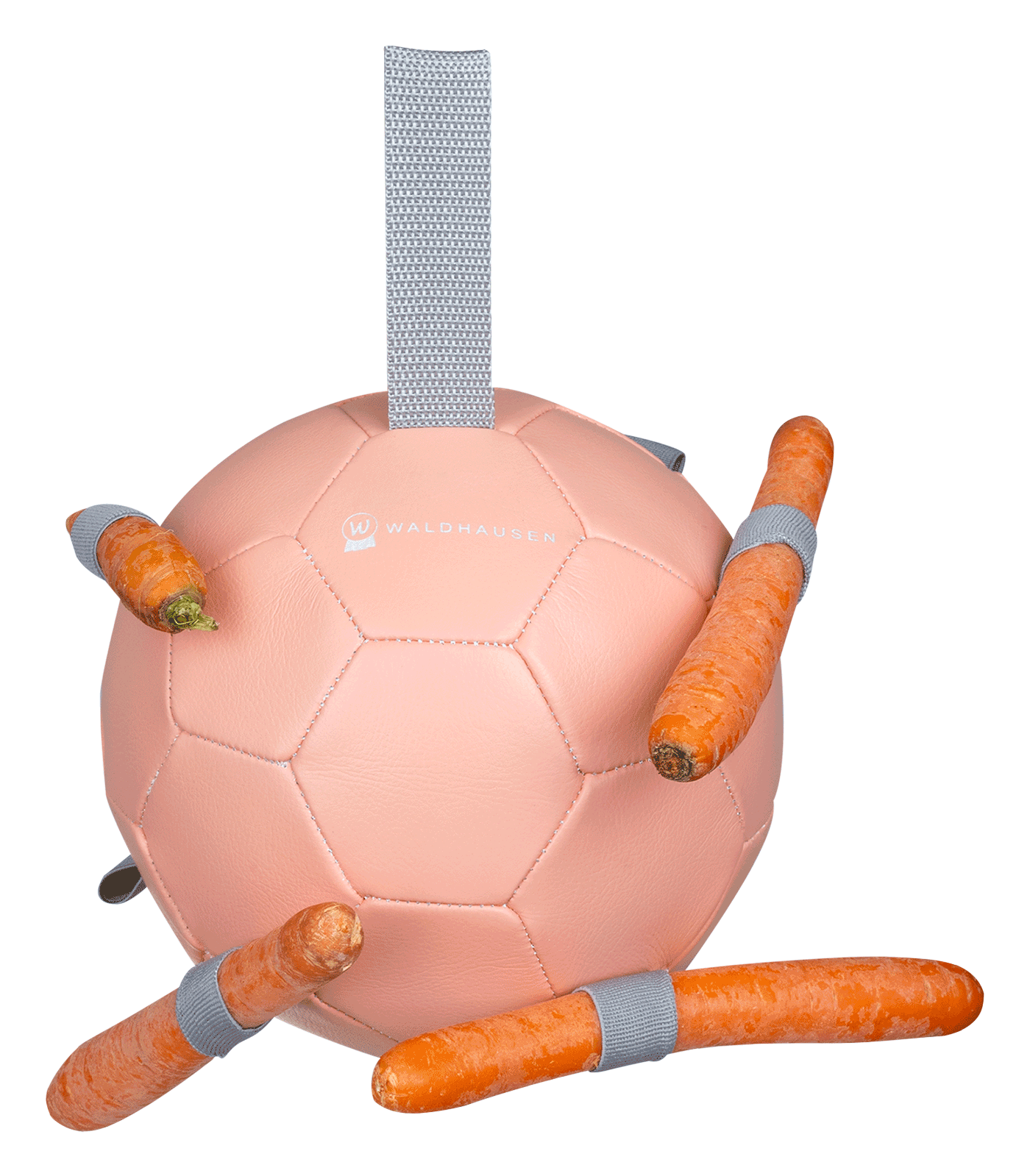 Carrot Ball