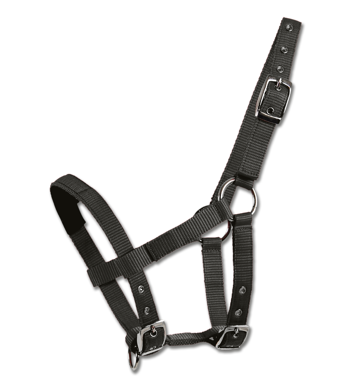Ohlávka Waldhausen pro mini shetty