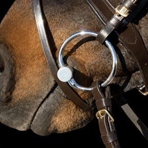 Image alternate text