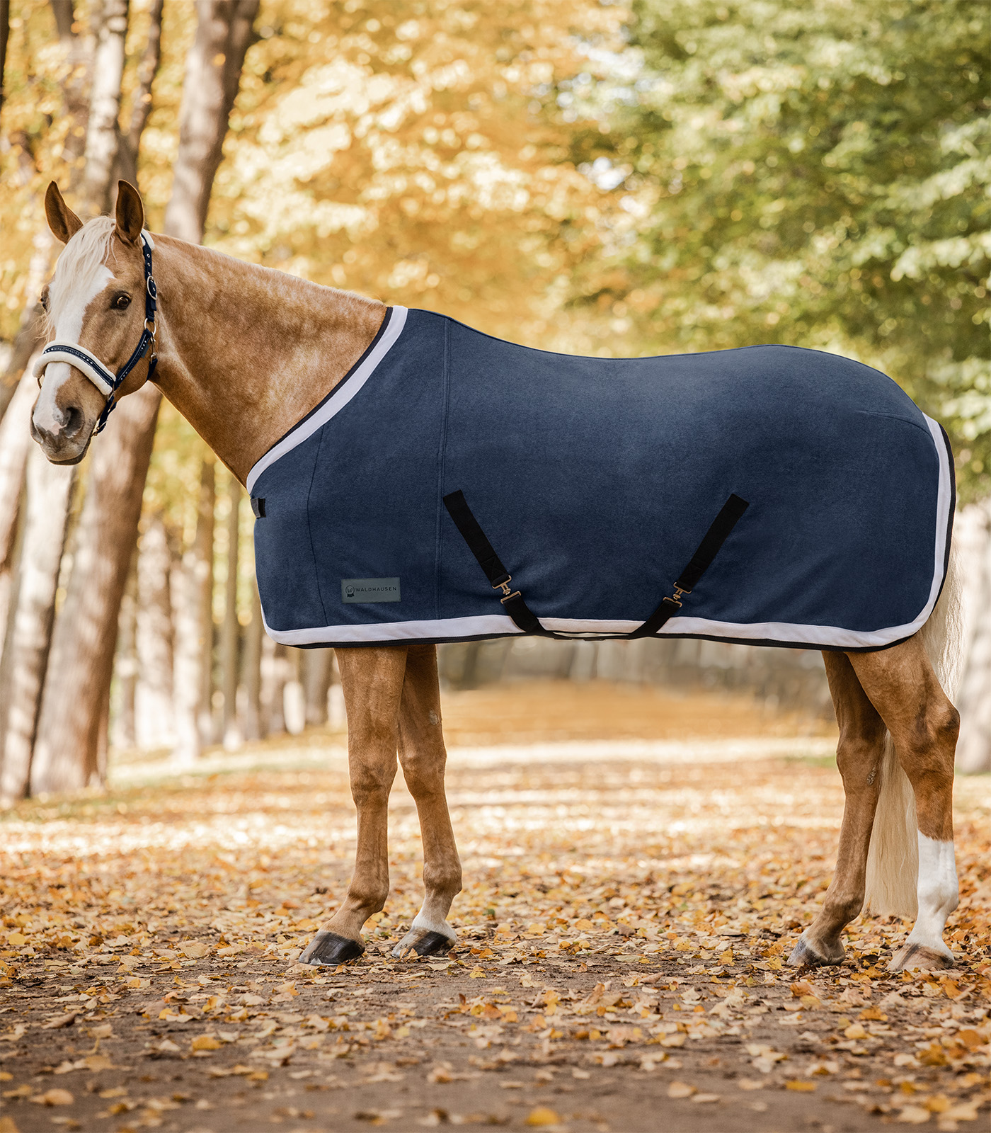 Couverture polaire COMFORT Esperia Two bleu nocturne/creme