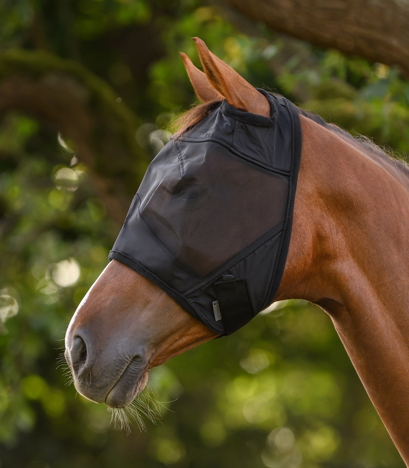 PREMIUM Fliegenmaske ohne Ohrenschutz schwarz PREMIUM Fliegenmaske ohne Ohrenschutz schwarz