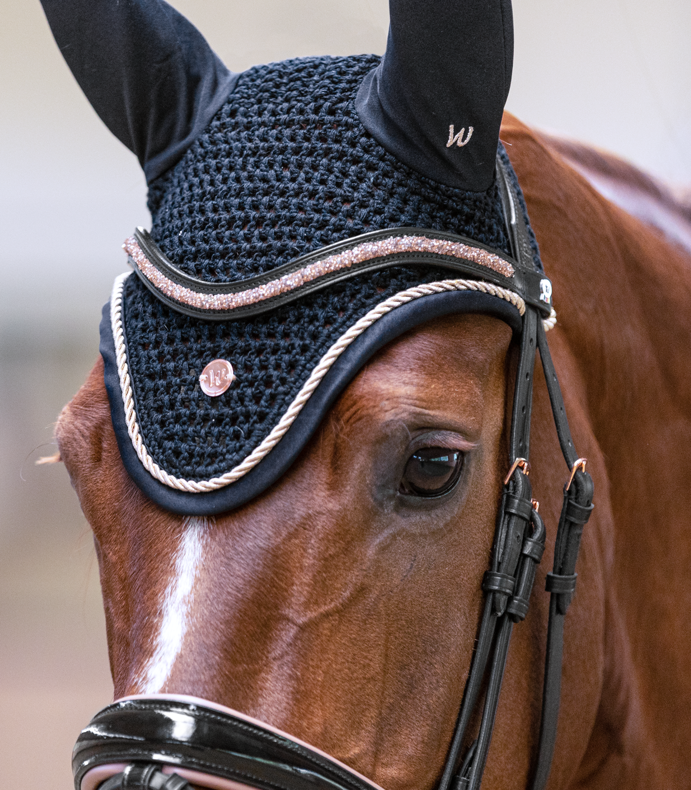 Modern Rosé Fly Veil