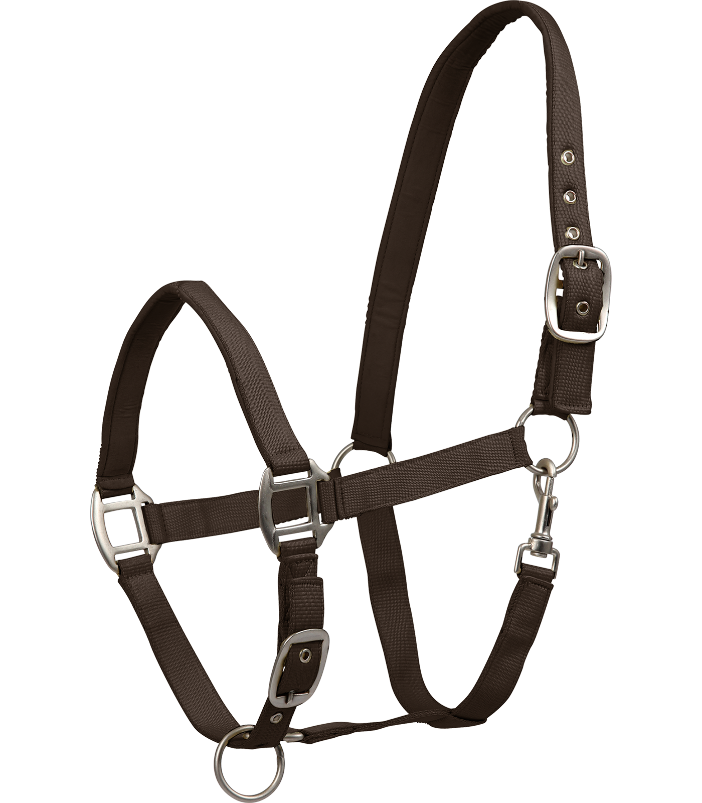 Halfter Satin espresso