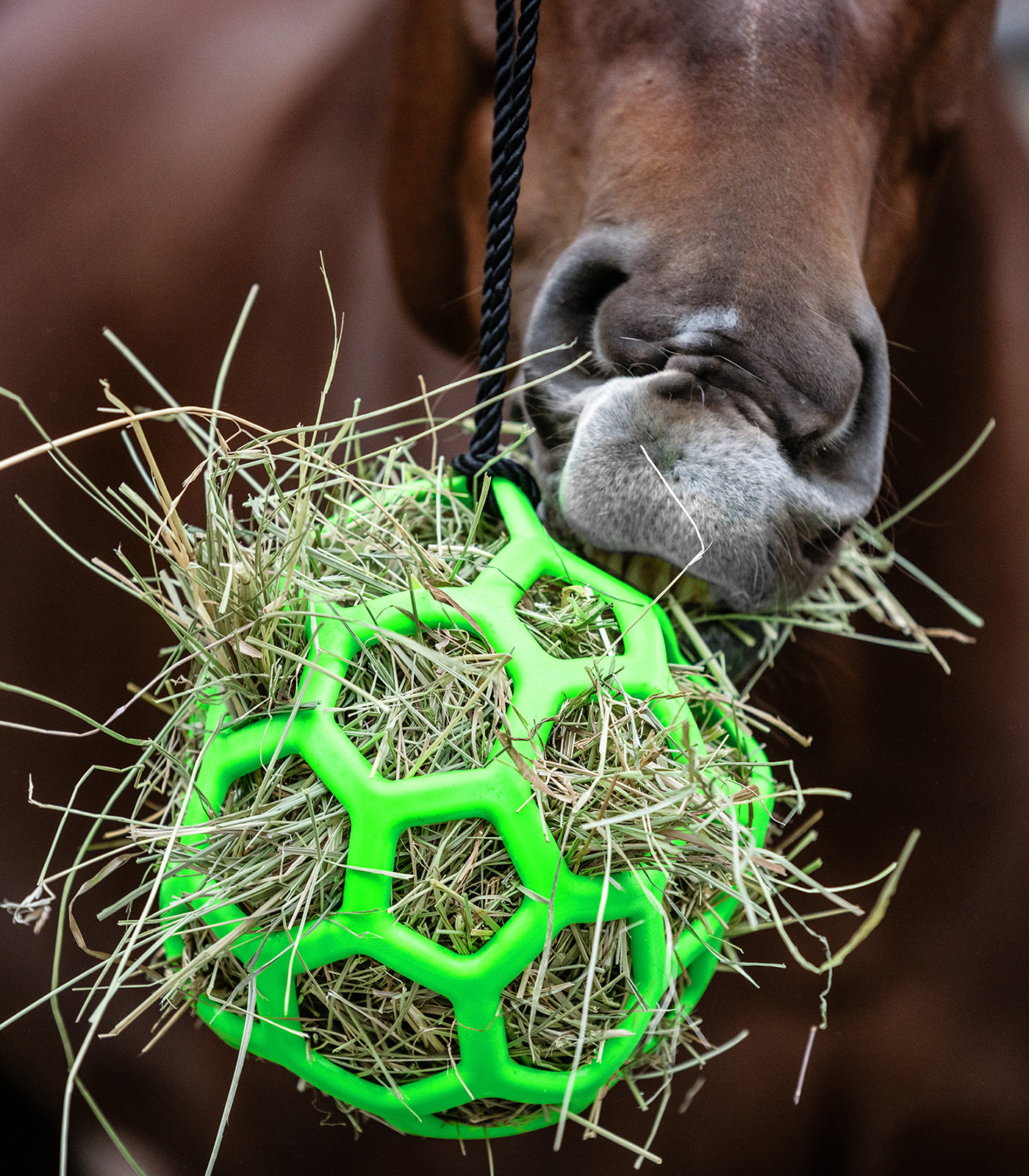 Pelota de heno