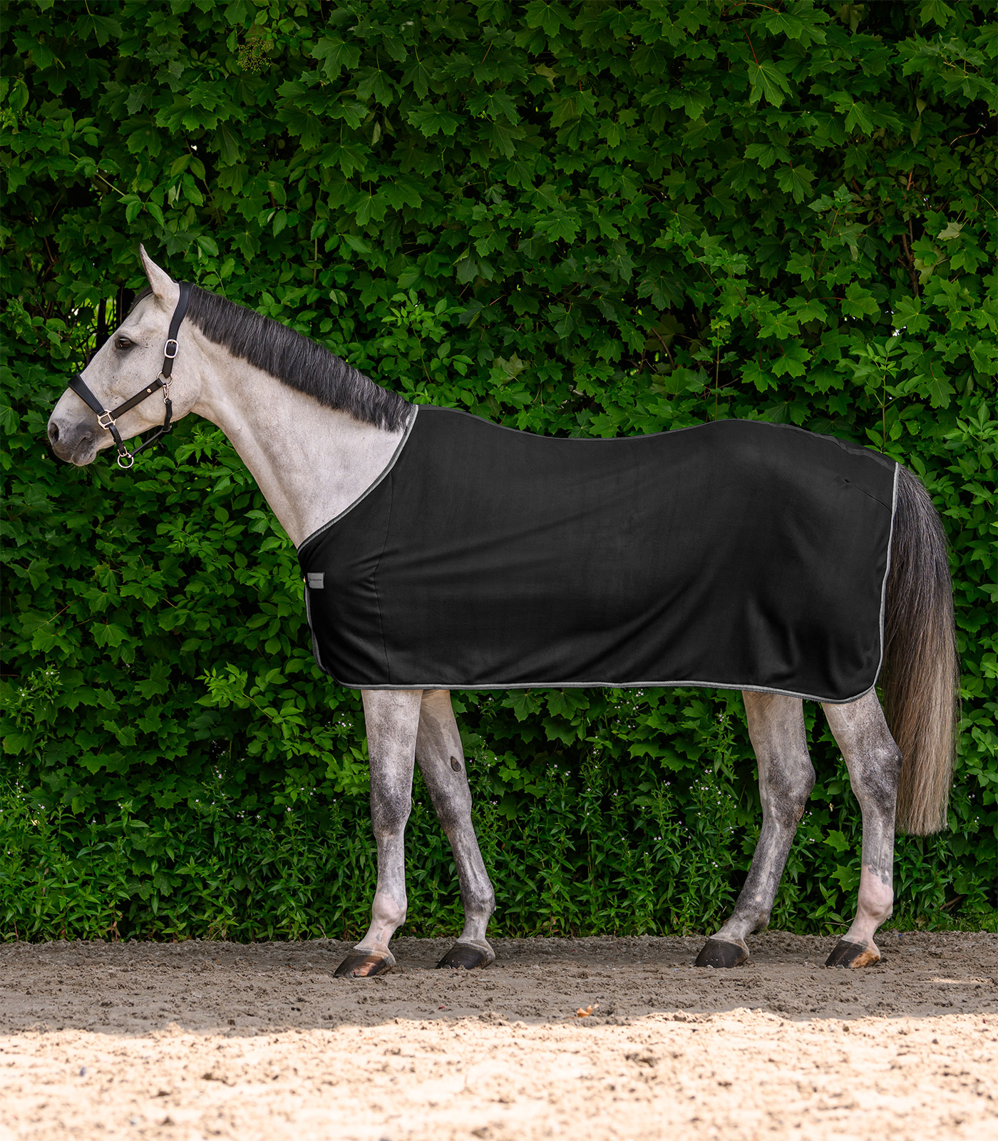 ECONOMIC Fleecedecke schwarz