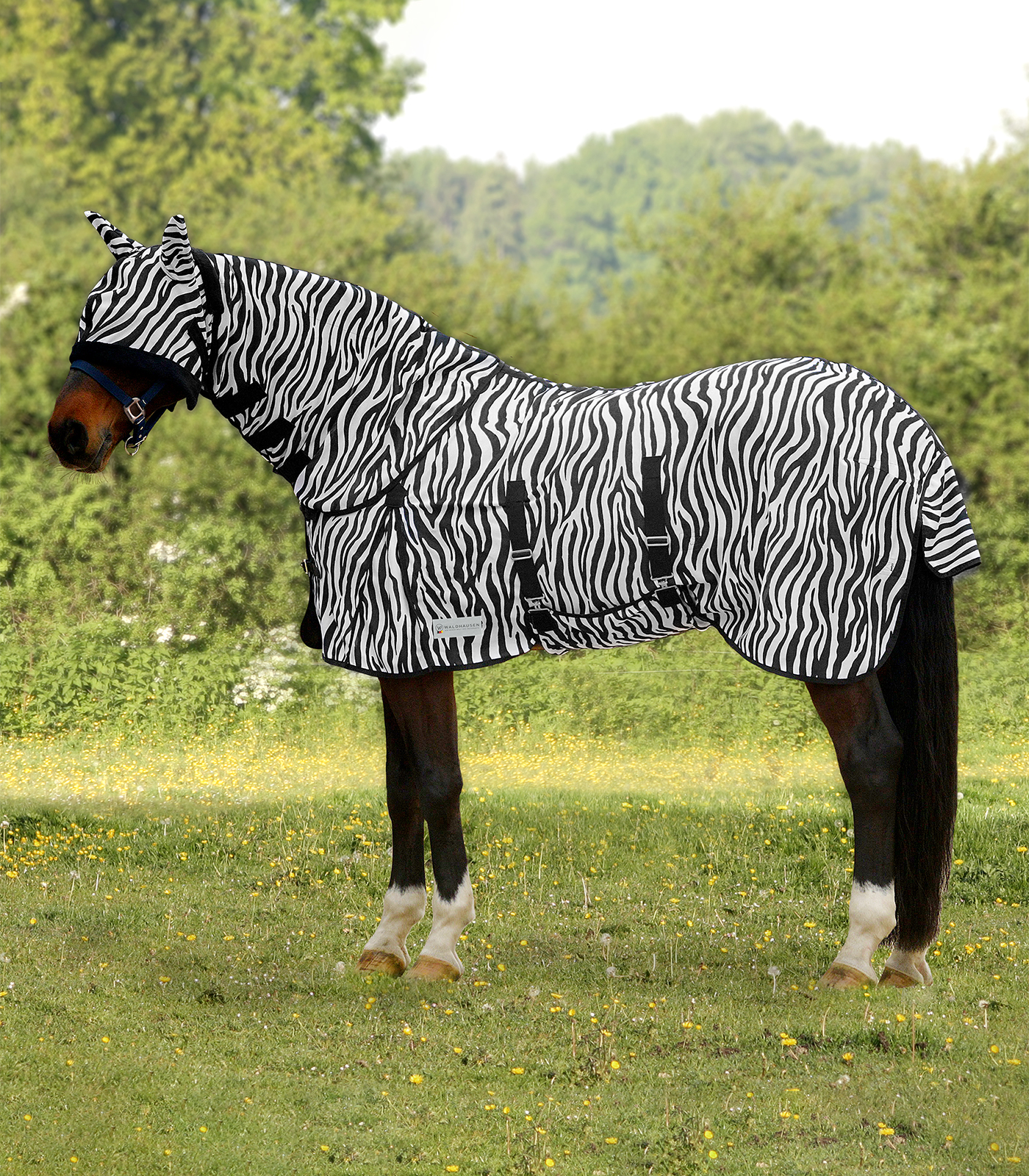 Coperta antimosche Zebra