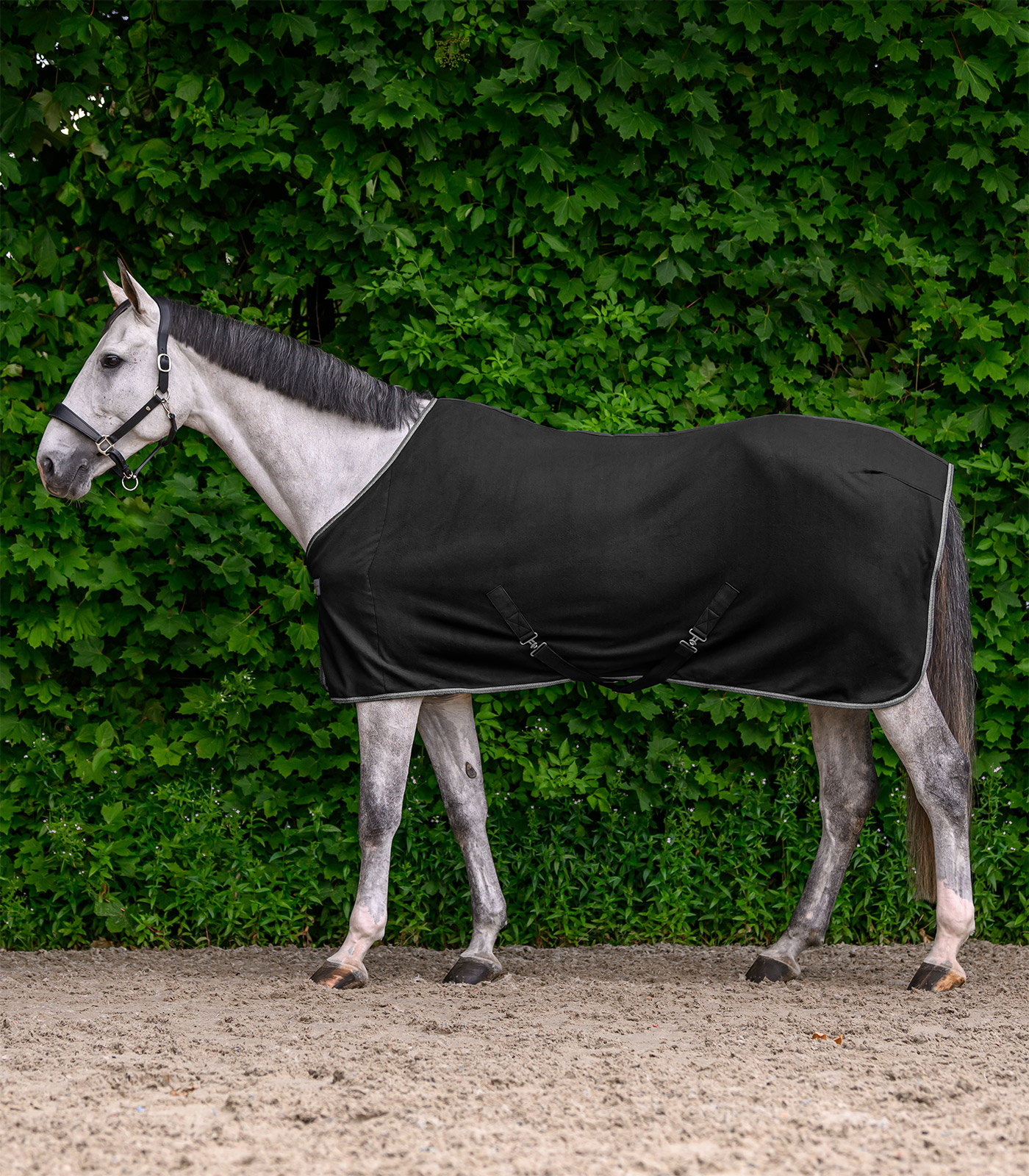 ECONOMIC Fleecedecke mit Kreuzgurten schwarz