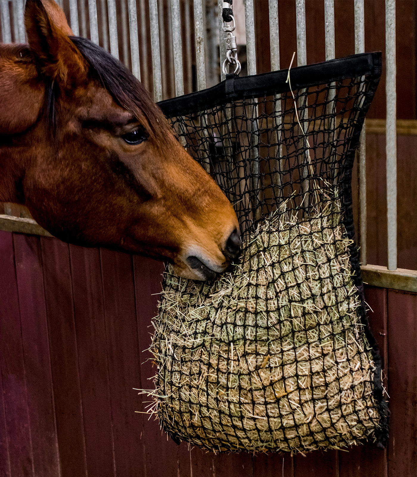 Rete Porta Fieno "easy Fill" - Apertura Con Anello Per Un Rapido Riempimento Larghezza Maglie 5 Cm - Foto 10