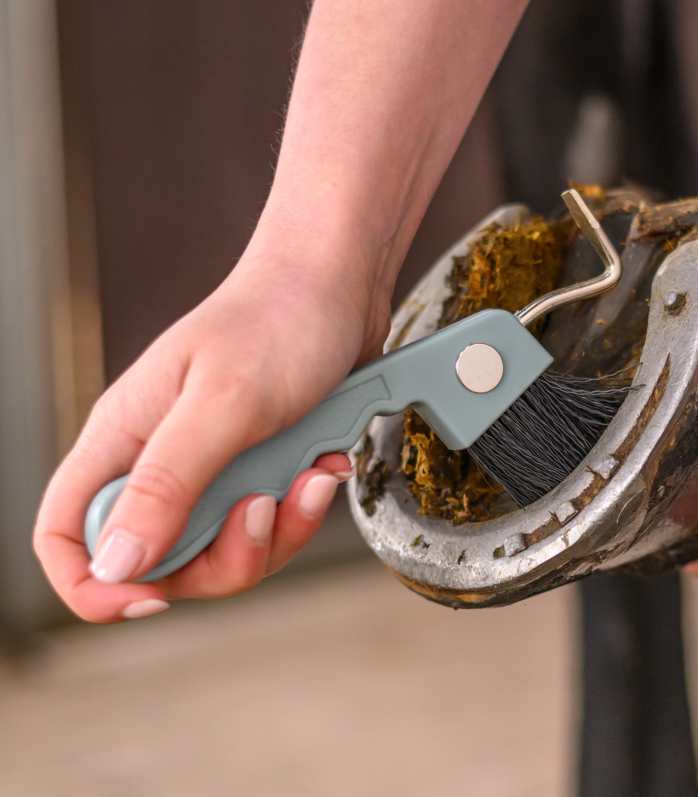 Hufkratzer mit Magnet