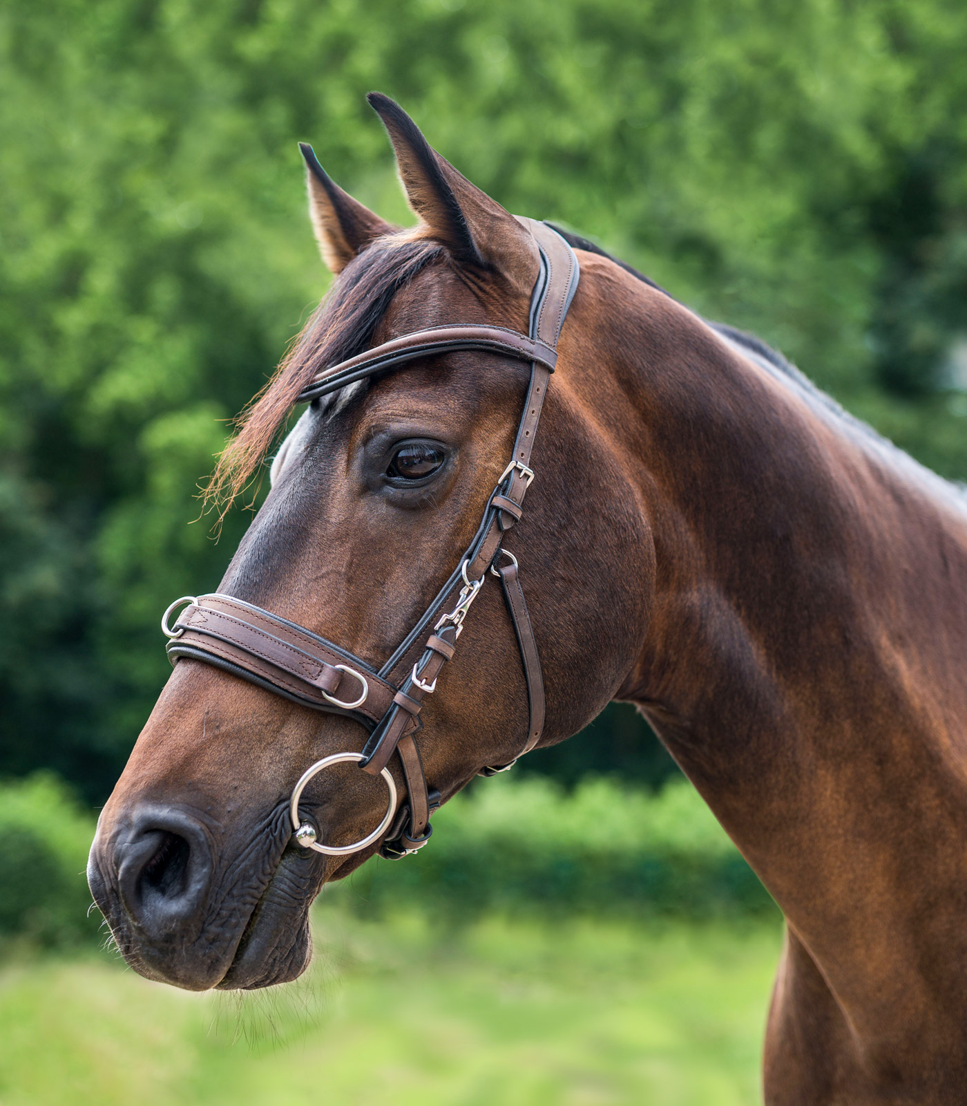 Capezzone in cuoio anatomic