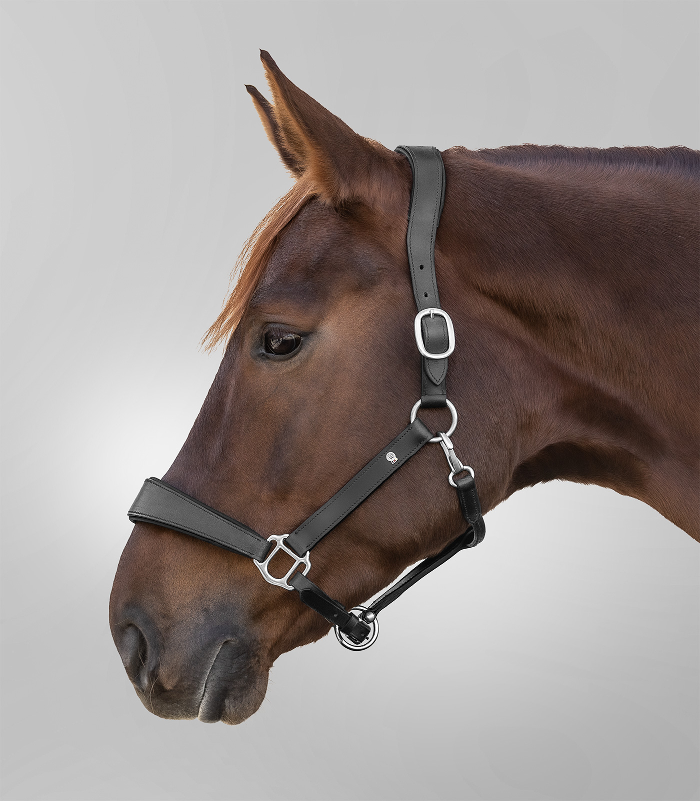 Waldhausen S-Line Lederhalfter Anatomic schwarz