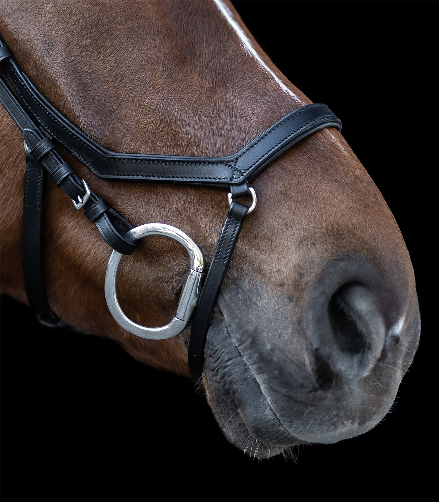 Waldhausen X-Line Bridle Relaxation