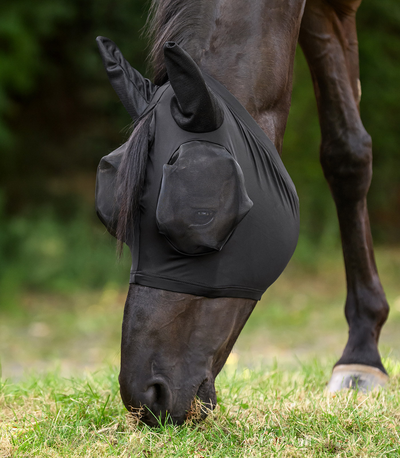 Puck Fly mask Puck Fly mask