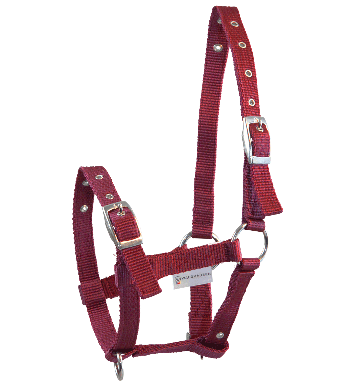 Halter Triple for Foals