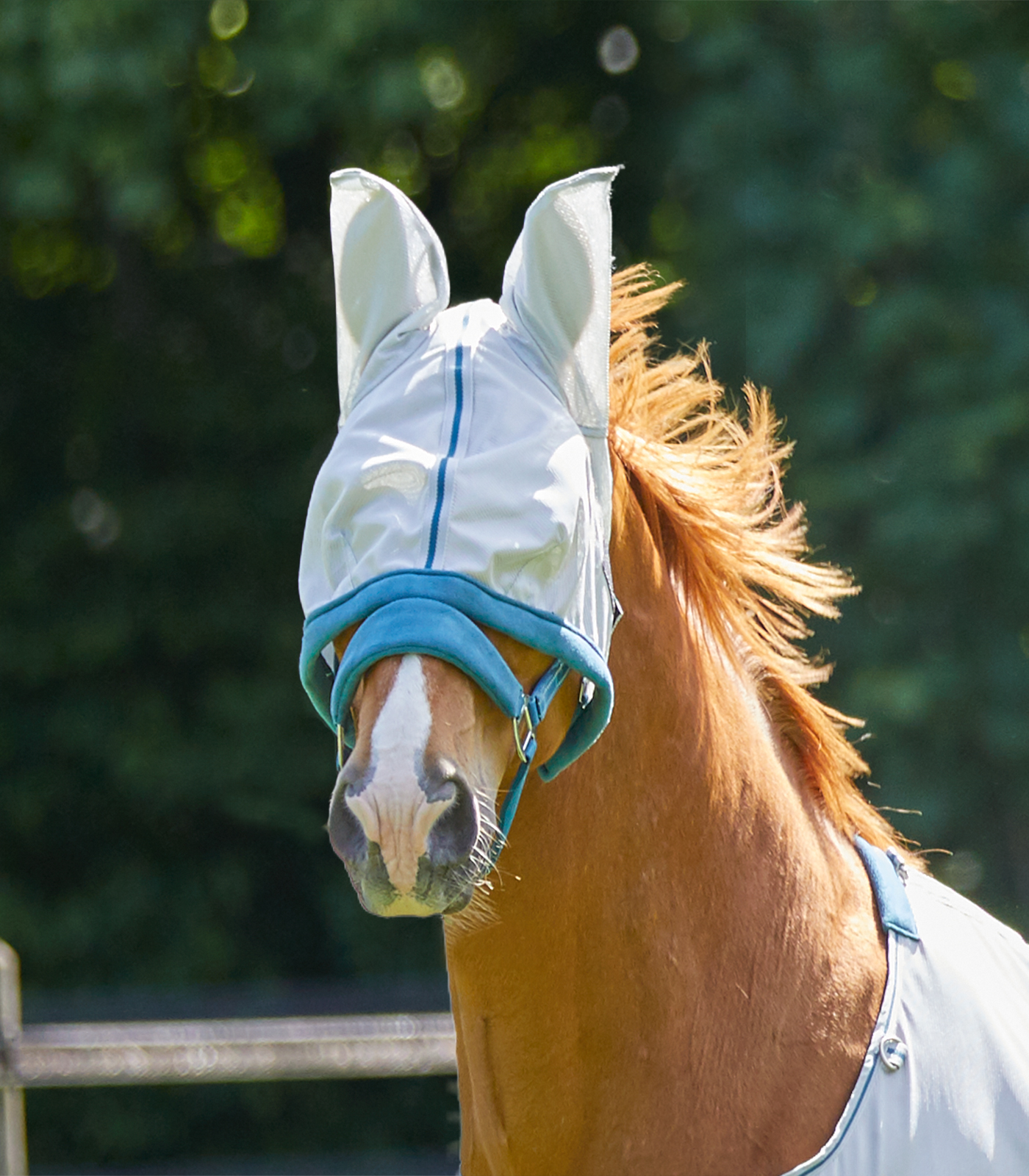 PROTECT fly mask